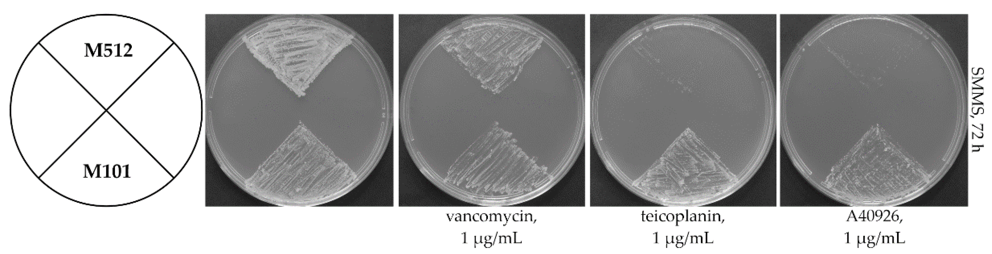 Ijms 23 15713 g002 Ijms 23 15713 g002