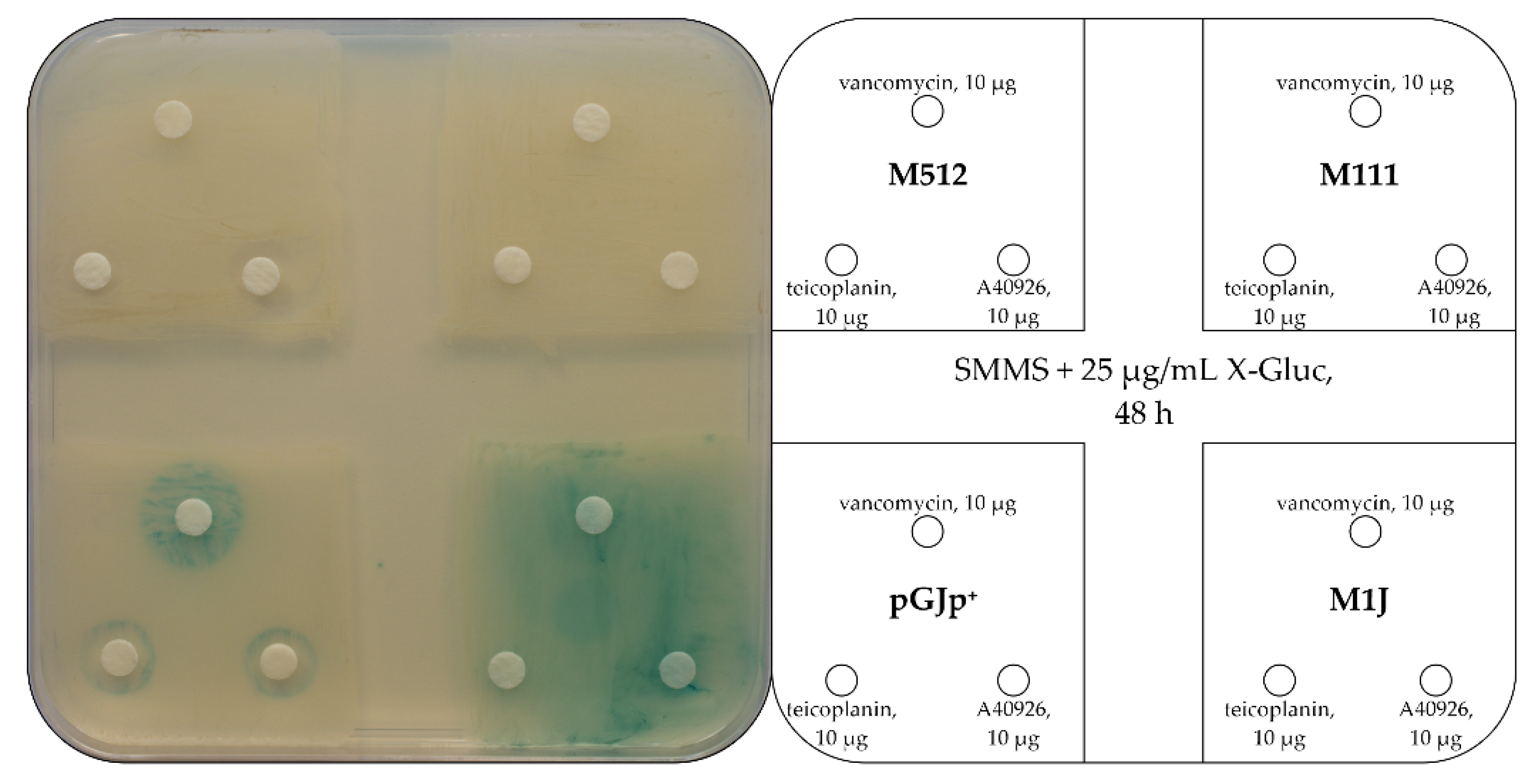 Ijms 23 15713 g003 Ijms 23 15713 g003