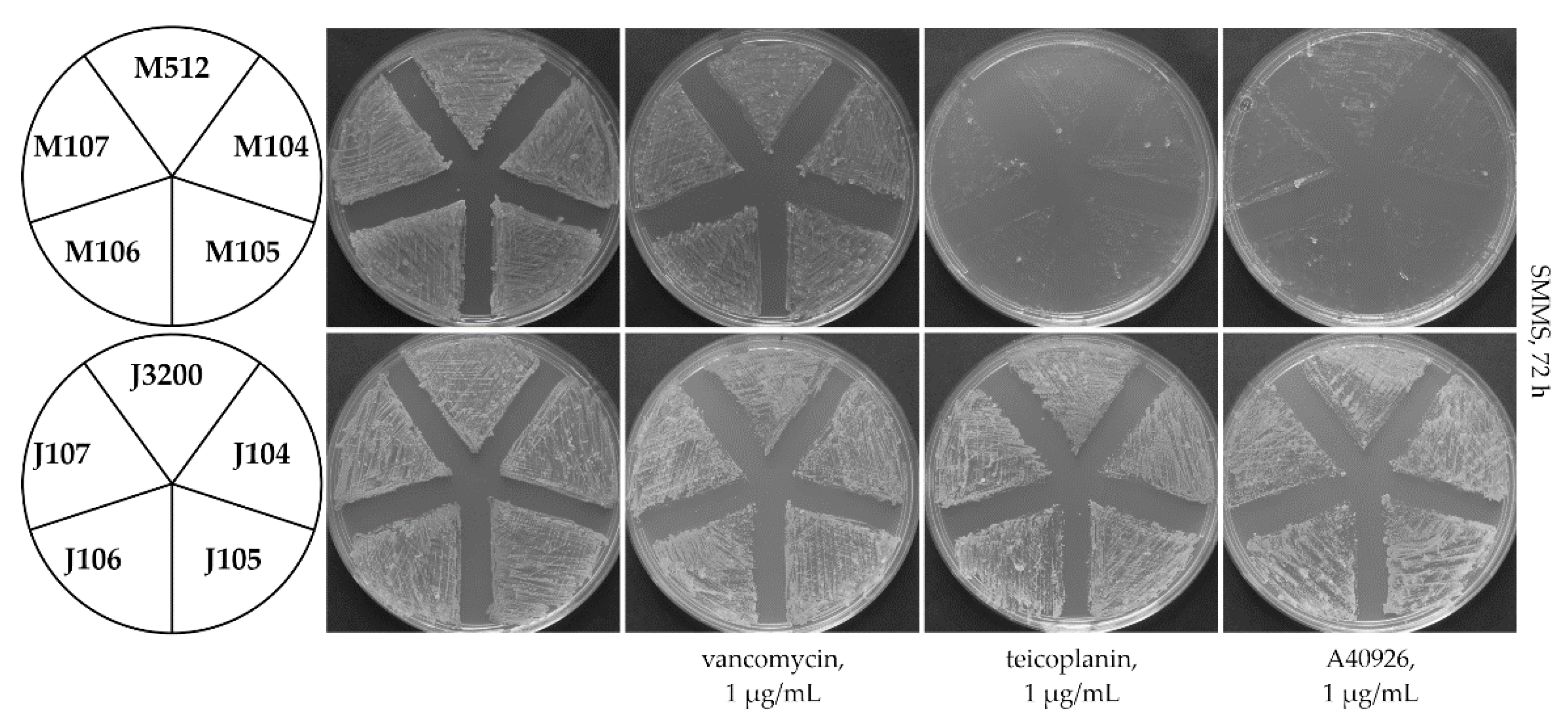 Ijms 23 15713 g004 Ijms 23 15713 g004