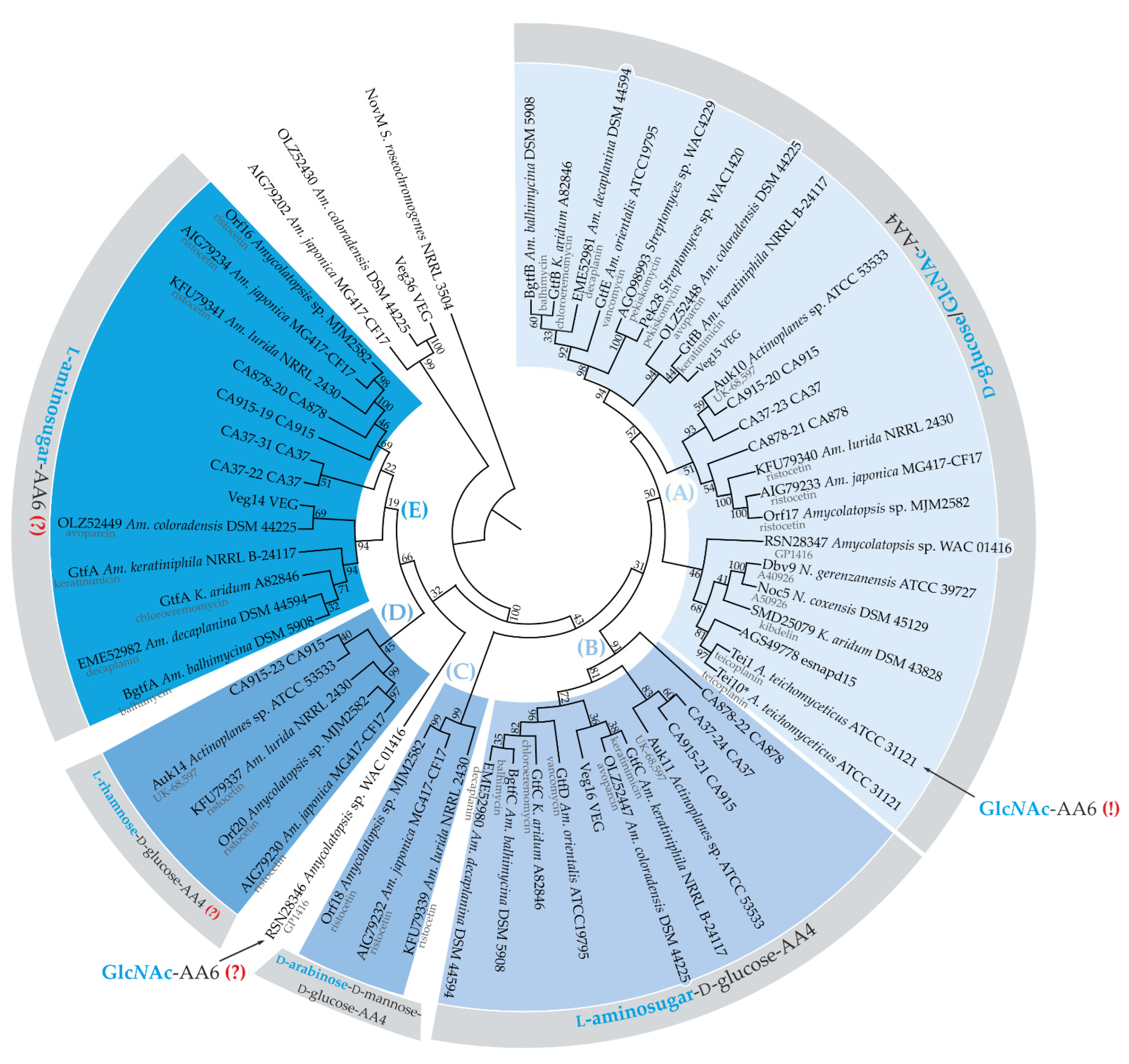 Ijms 23 15713 g006 Ijms 23 15713 g006