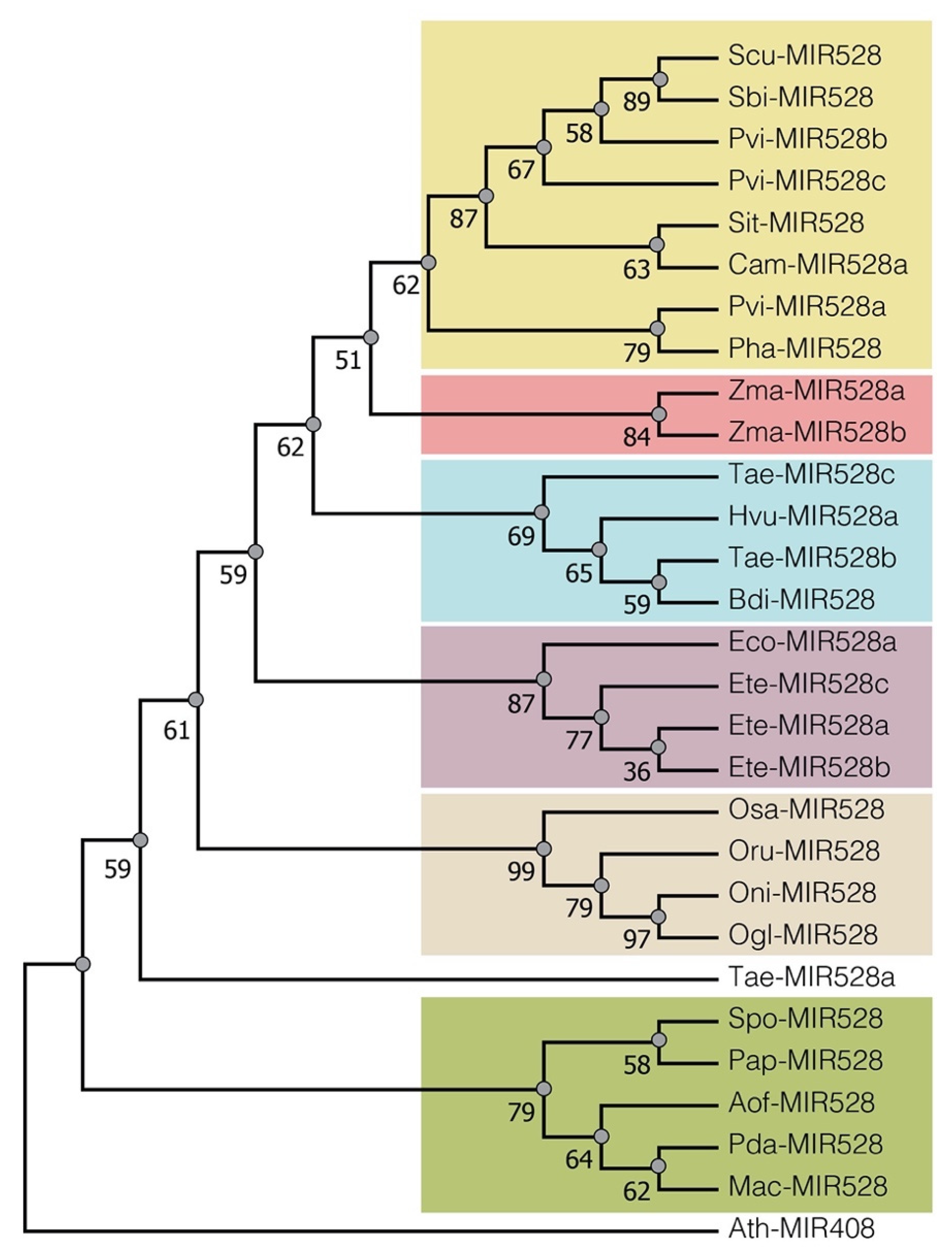 Ijms 23 15718 g001 Ijms 23 15718 g001