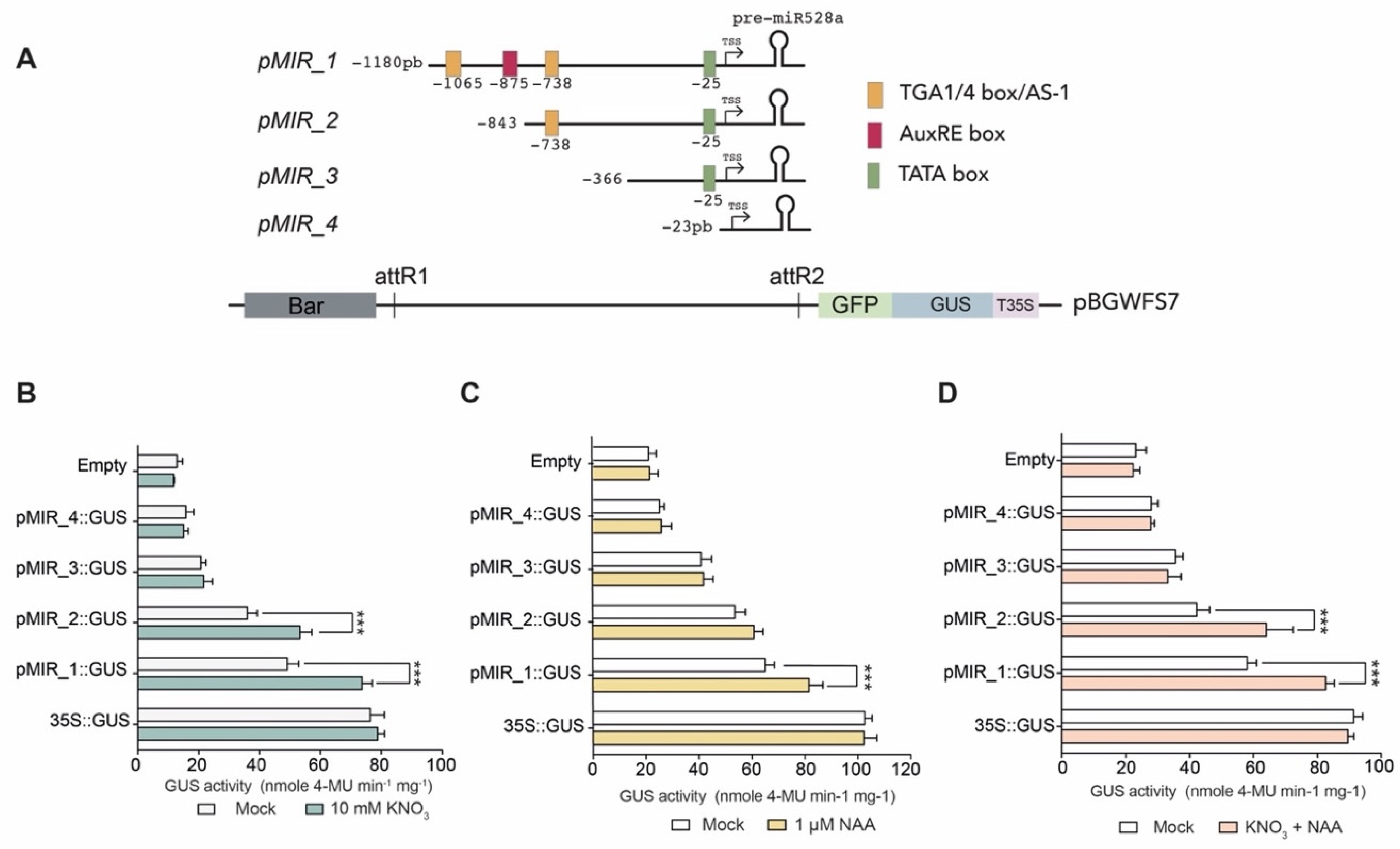Ijms 23 15718 g005 Ijms 23 15718 g005
