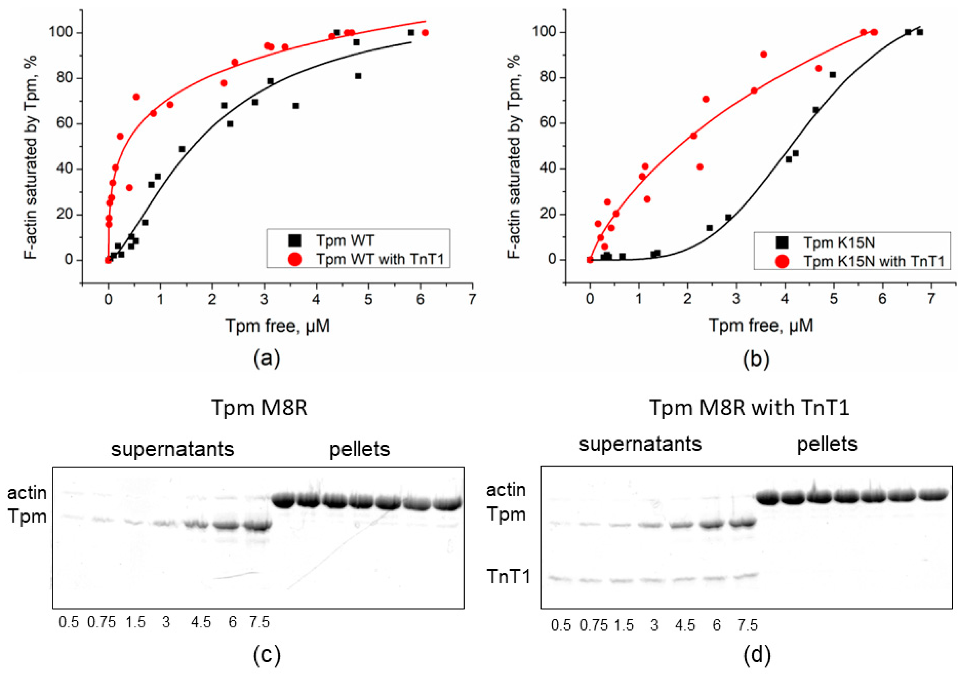 Ijms 23 15723 g001 Ijms 23 15723 g001