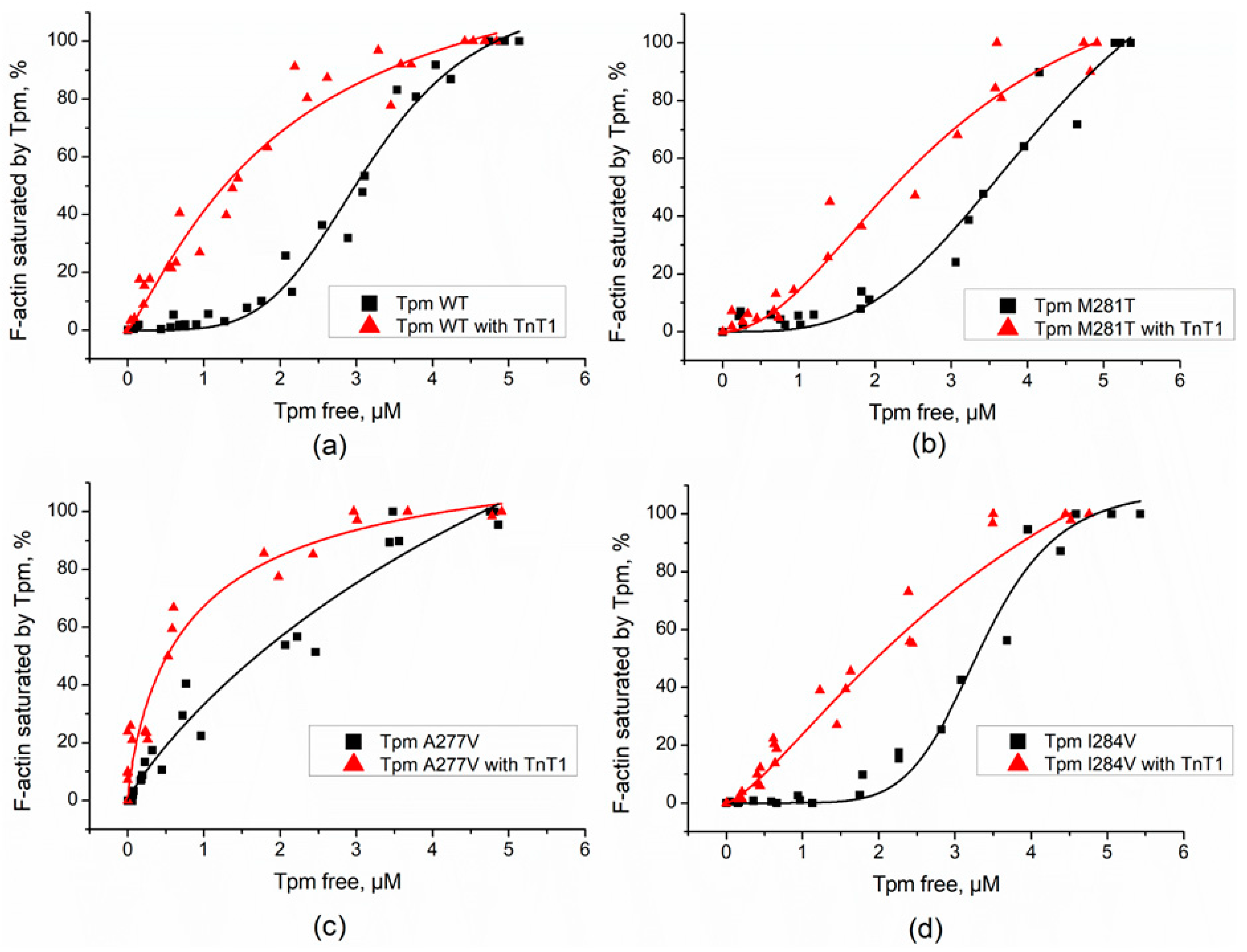 Ijms 23 15723 g002 Ijms 23 15723 g002