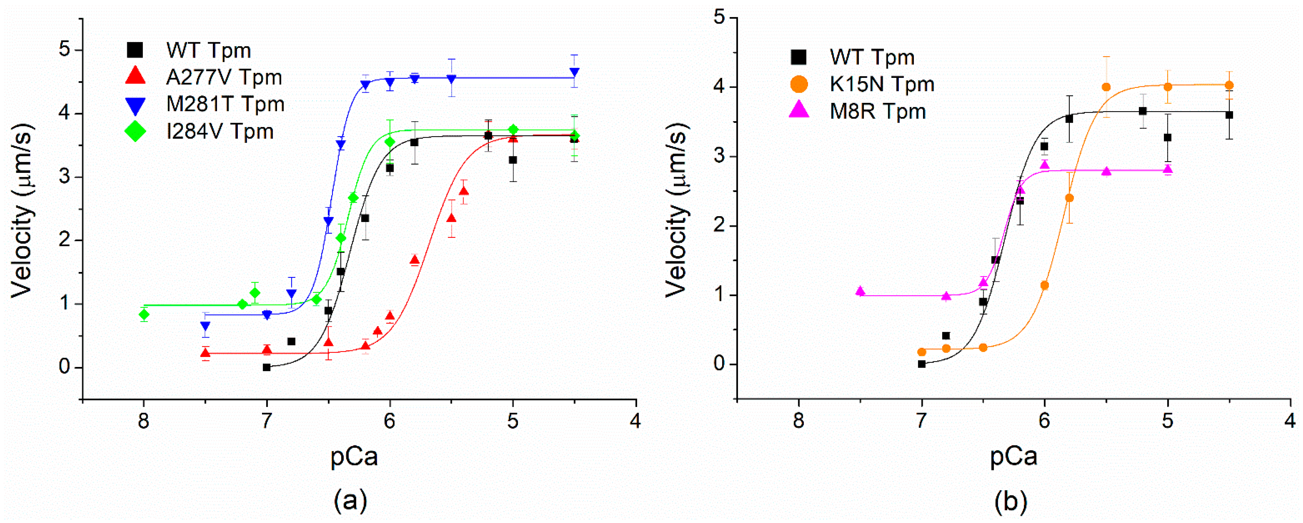Ijms 23 15723 g006 Ijms 23 15723 g006