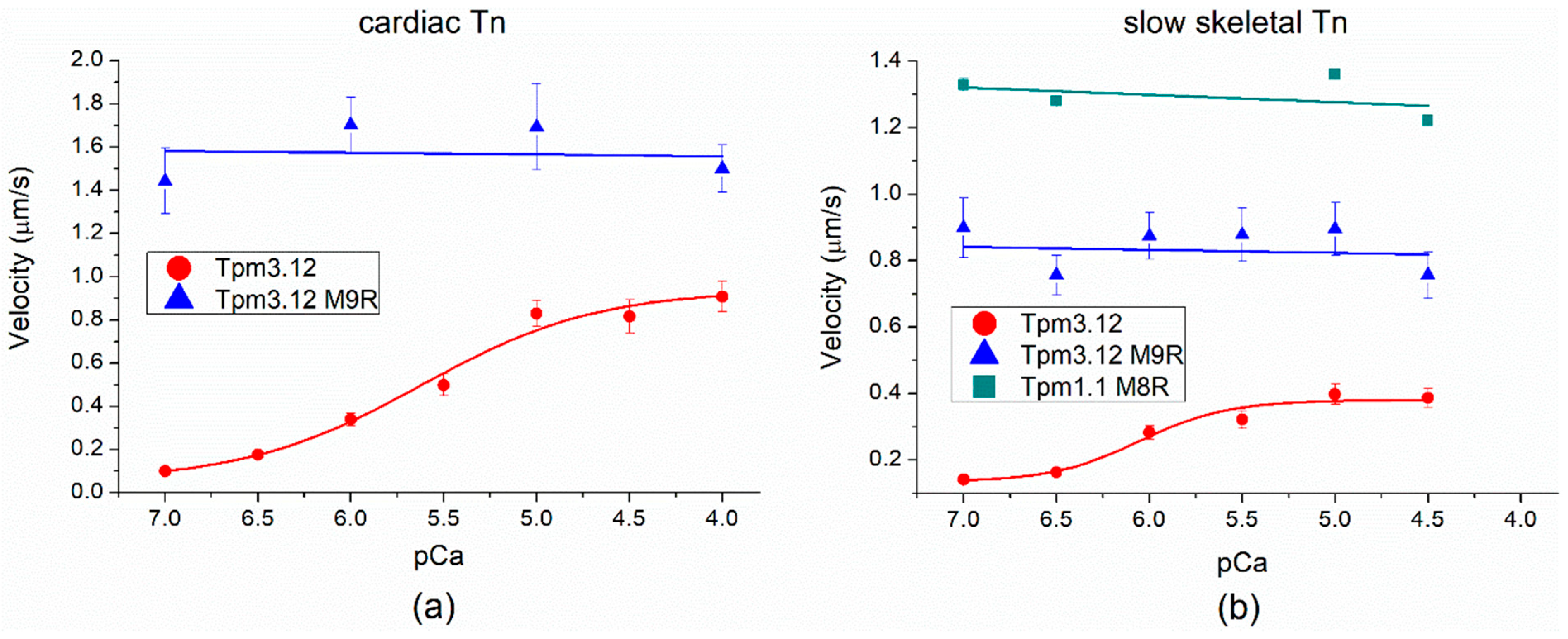 Ijms 23 15723 g008 Ijms 23 15723 g008