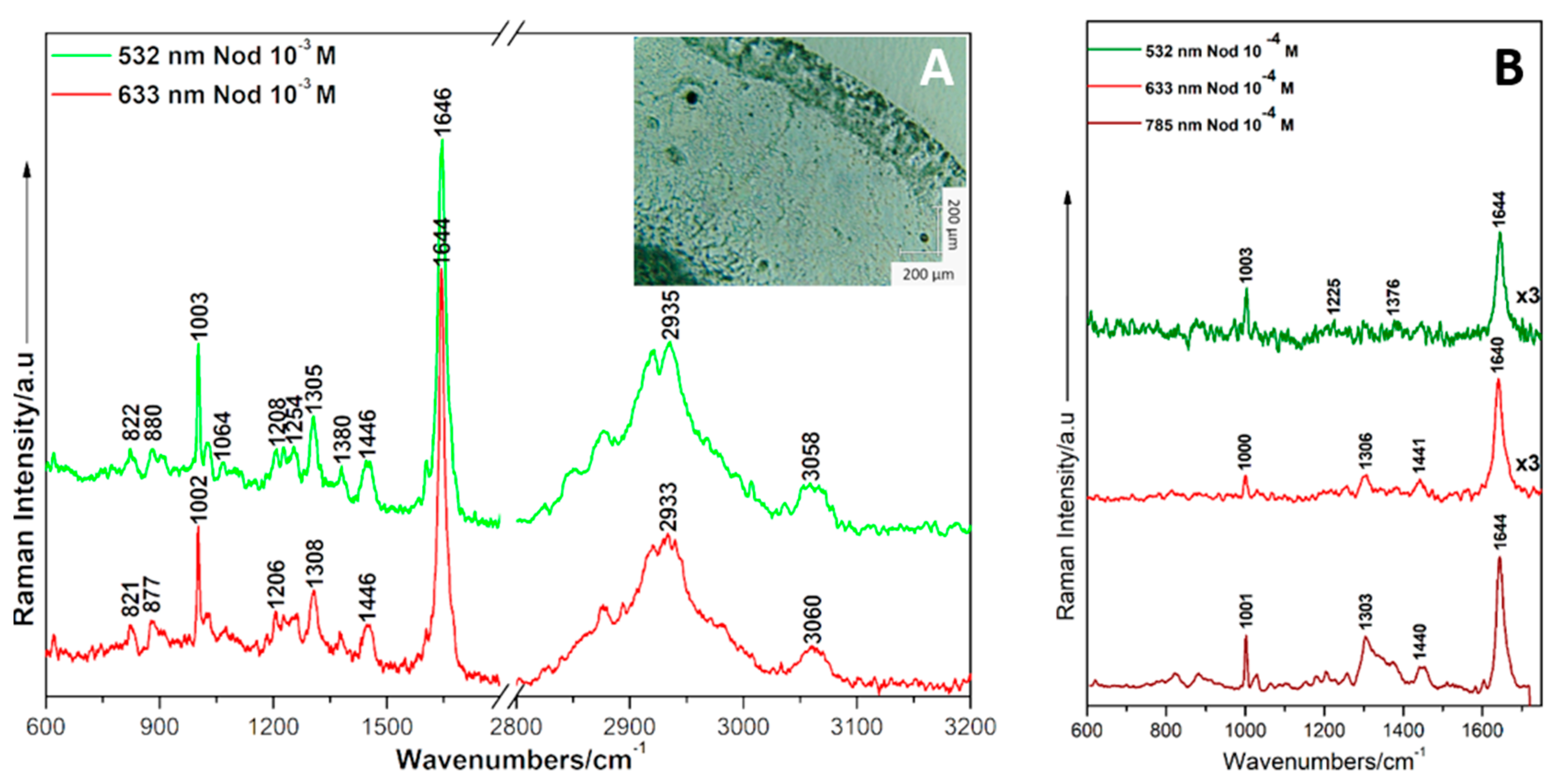 Ijms 23 15741 g003 Ijms 23 15741 g003