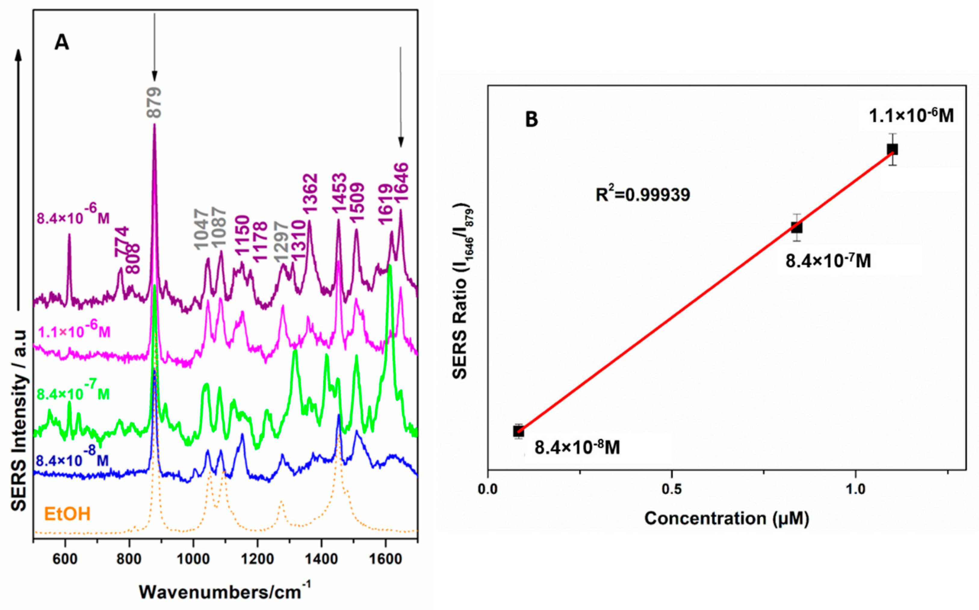 Ijms 23 15741 g005 Ijms 23 15741 g005