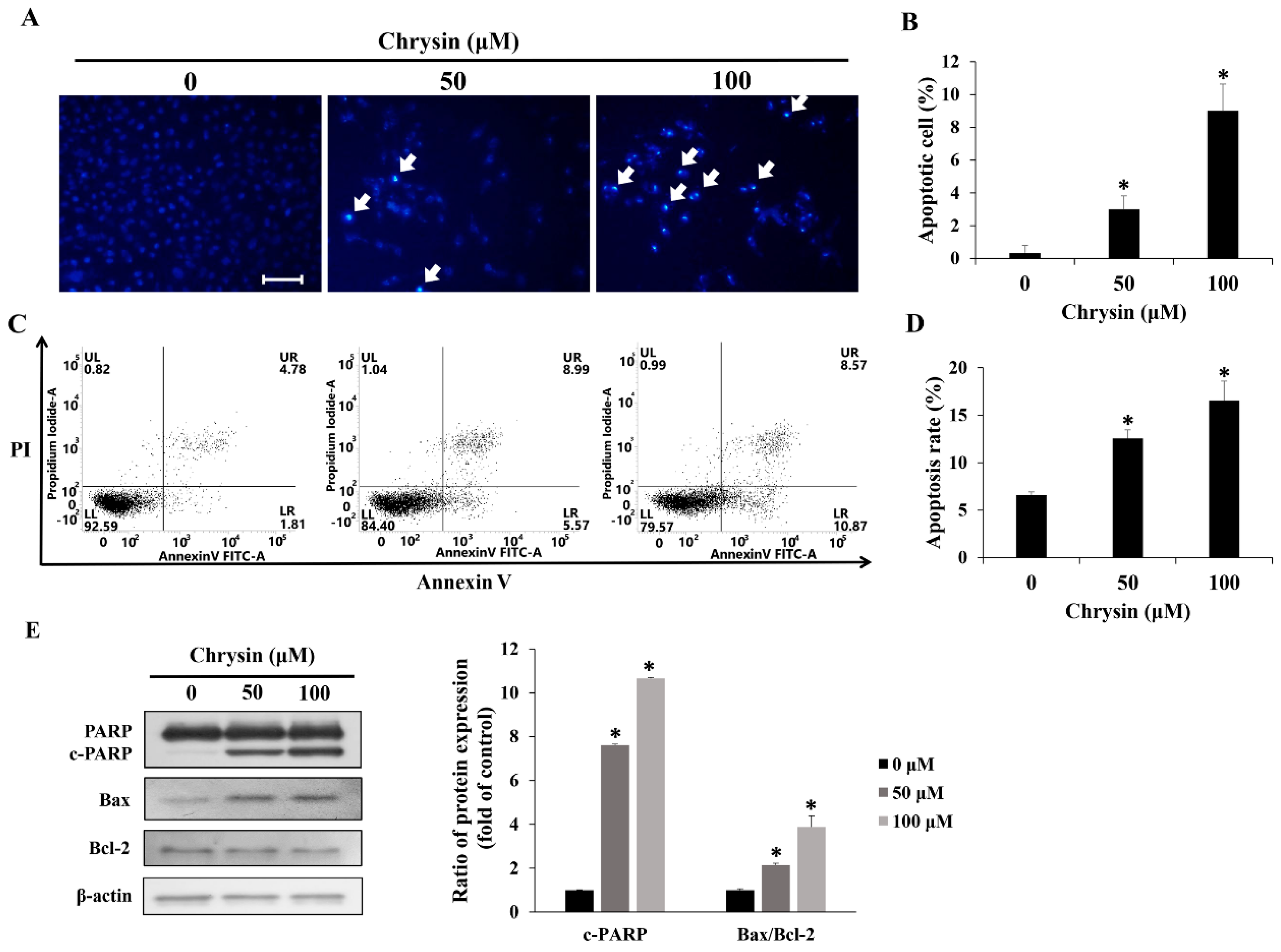 Ijms 23 15747 g002 Ijms 23 15747 g002