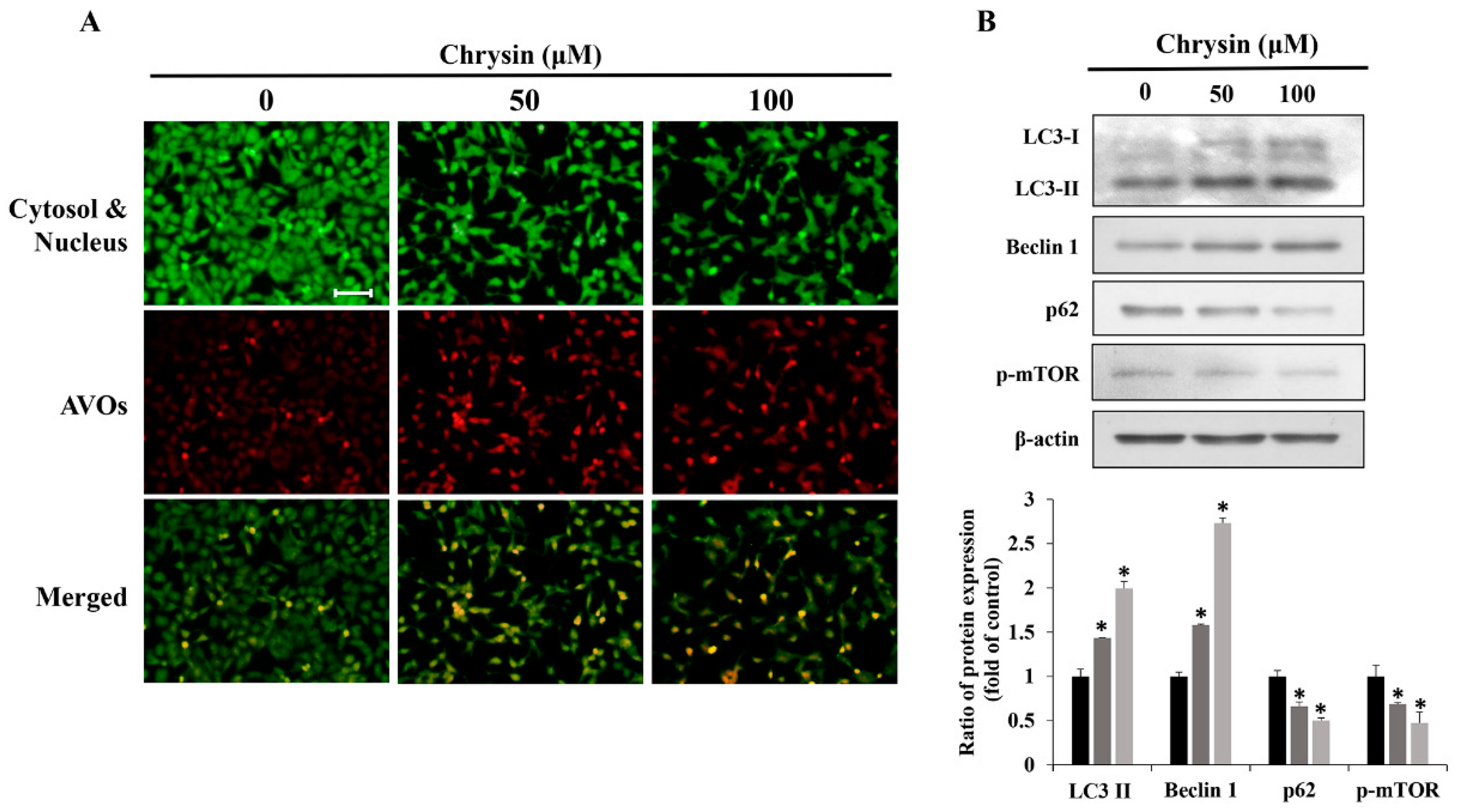 Ijms 23 15747 g003 Ijms 23 15747 g003