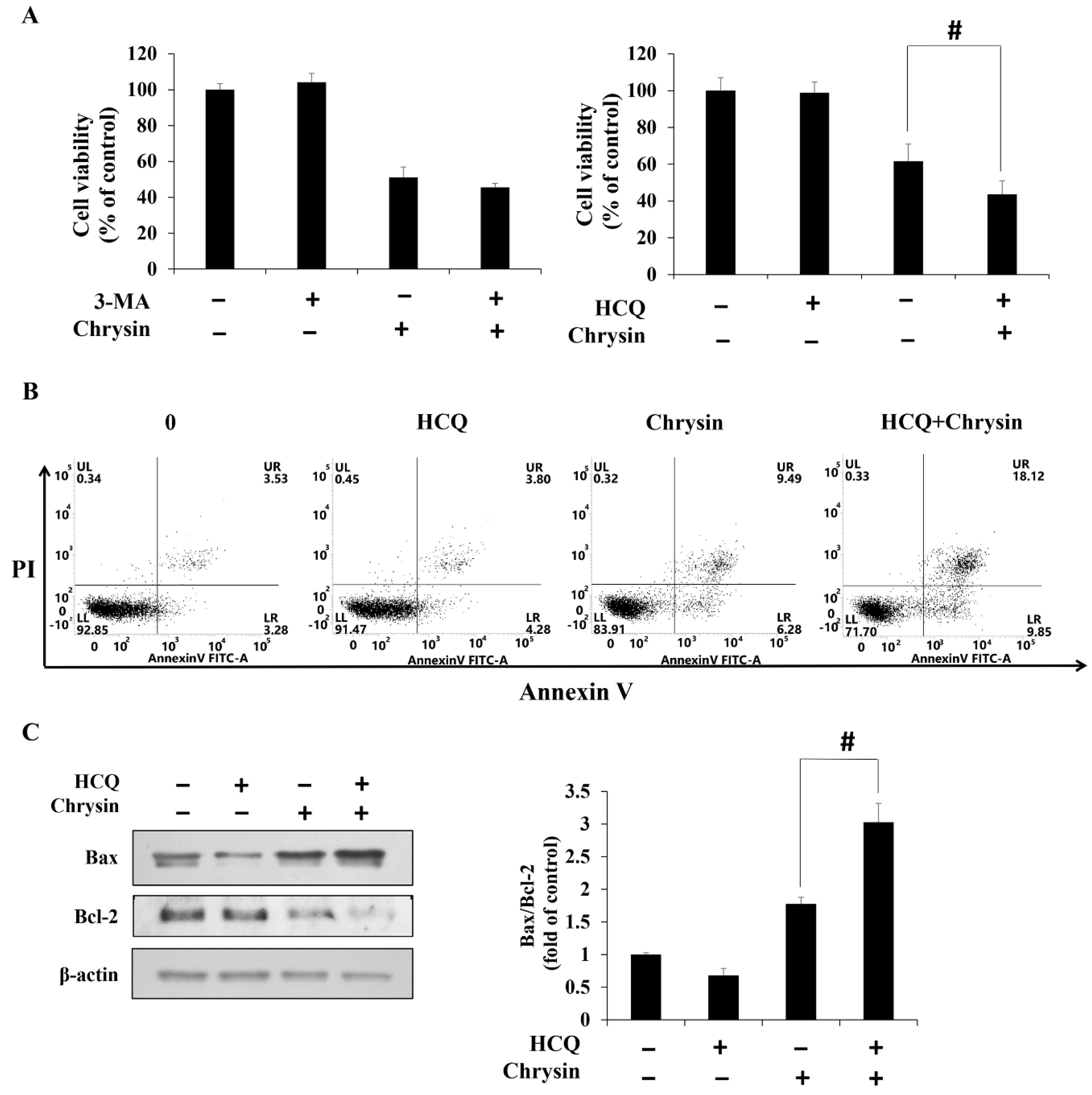Ijms 23 15747 g004 Ijms 23 15747 g004