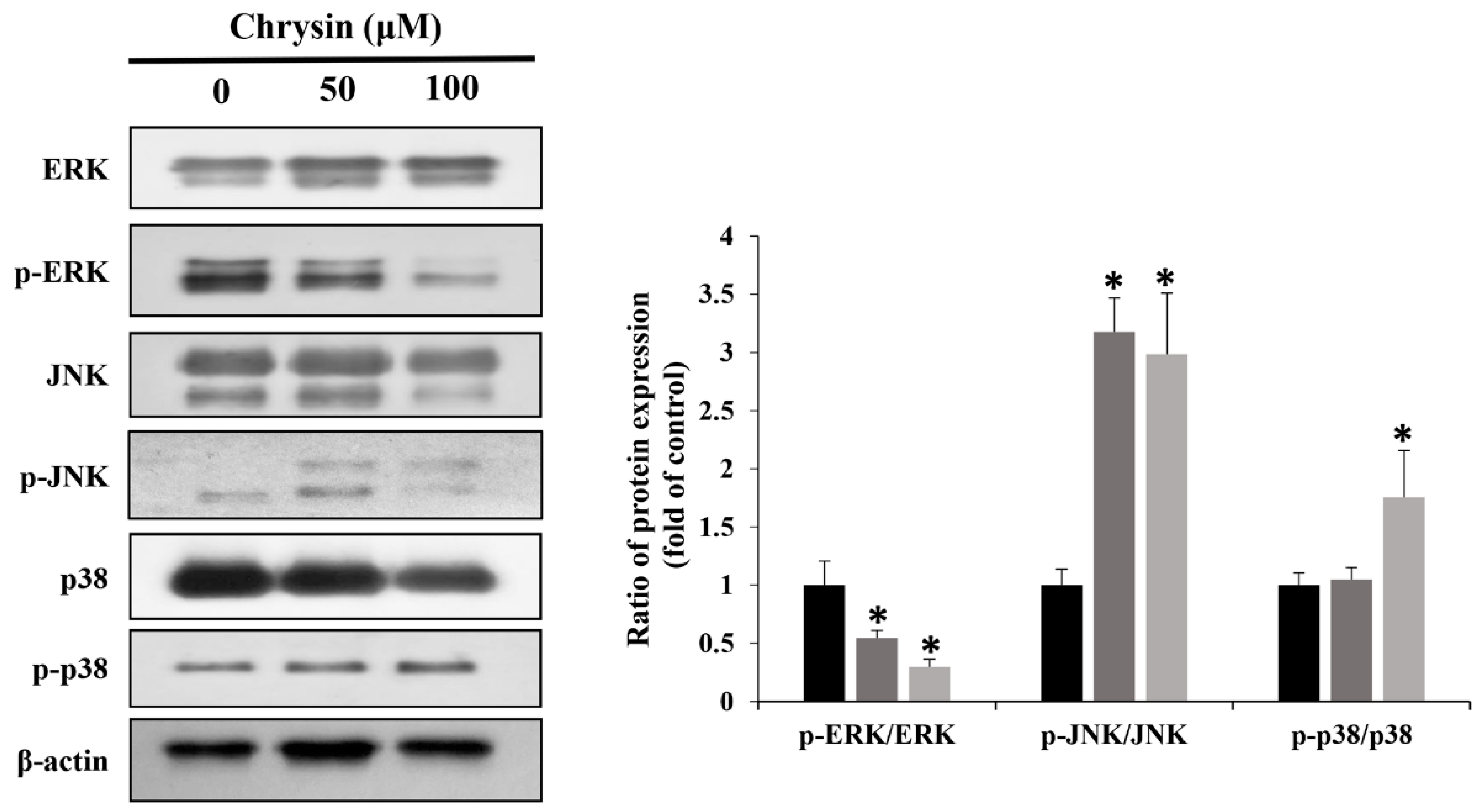 Ijms 23 15747 g005 Ijms 23 15747 g005