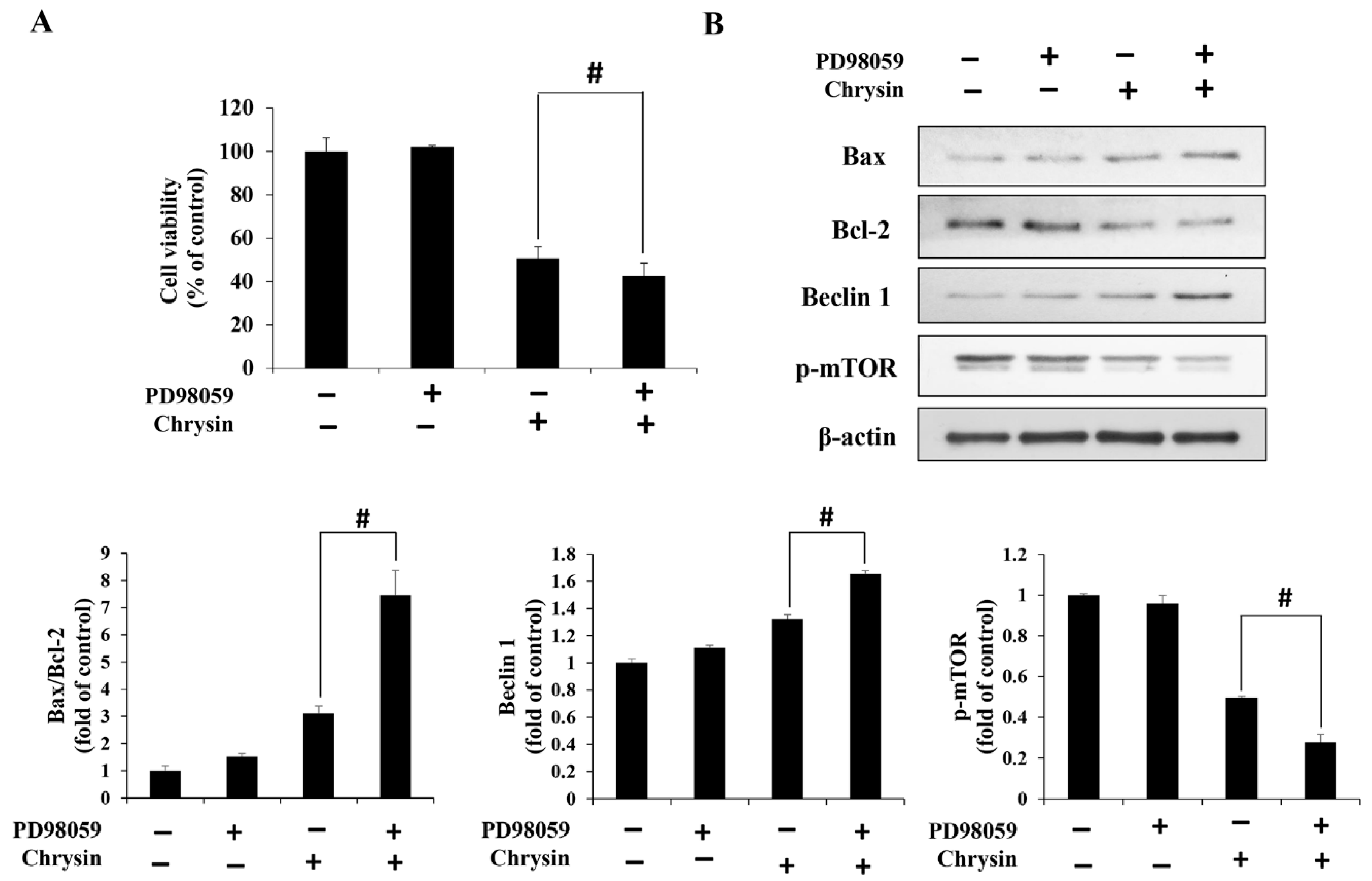 Ijms 23 15747 g006 Ijms 23 15747 g006