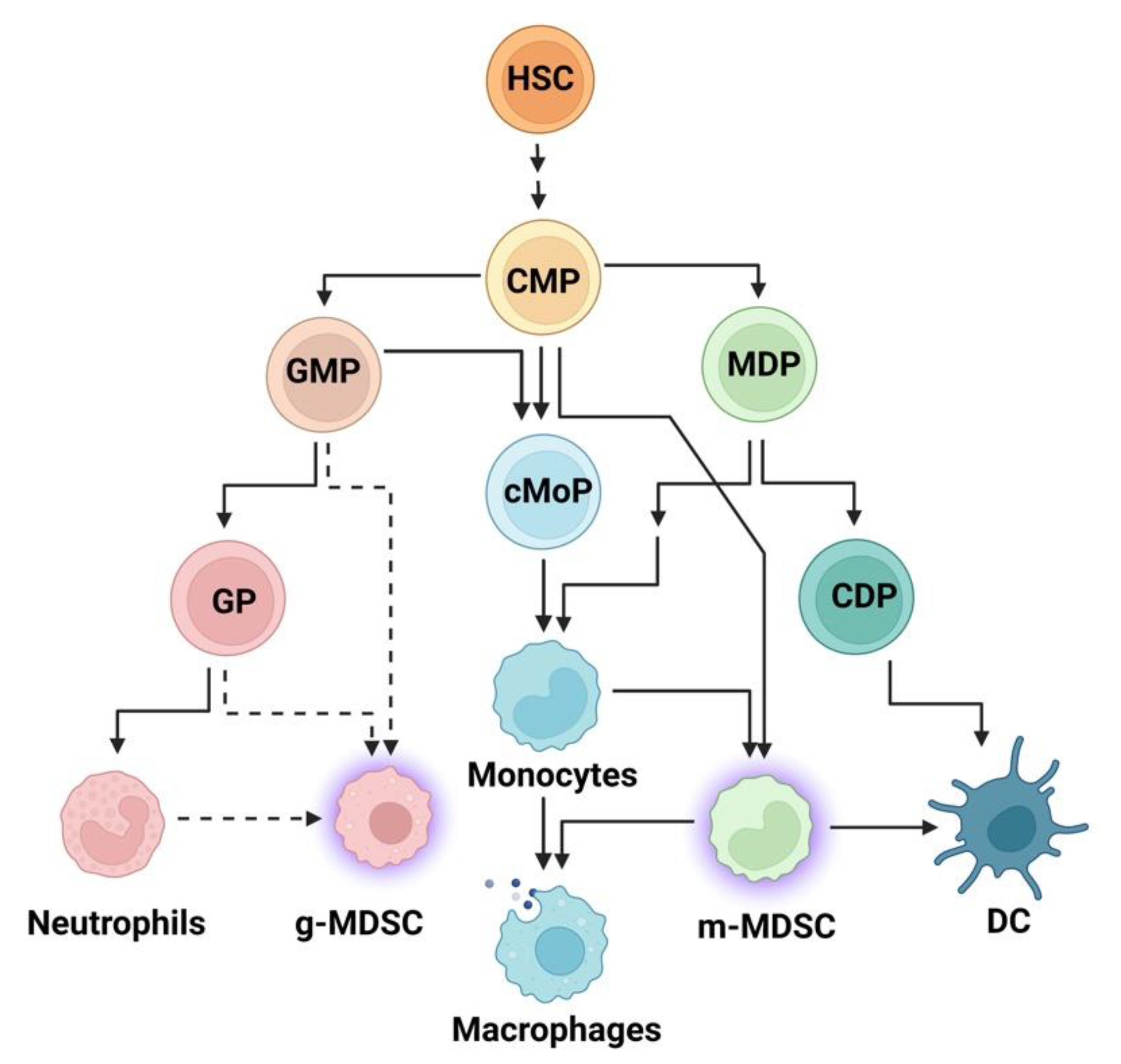 Ijms 23 15753 g002 Ijms 23 15753 g002