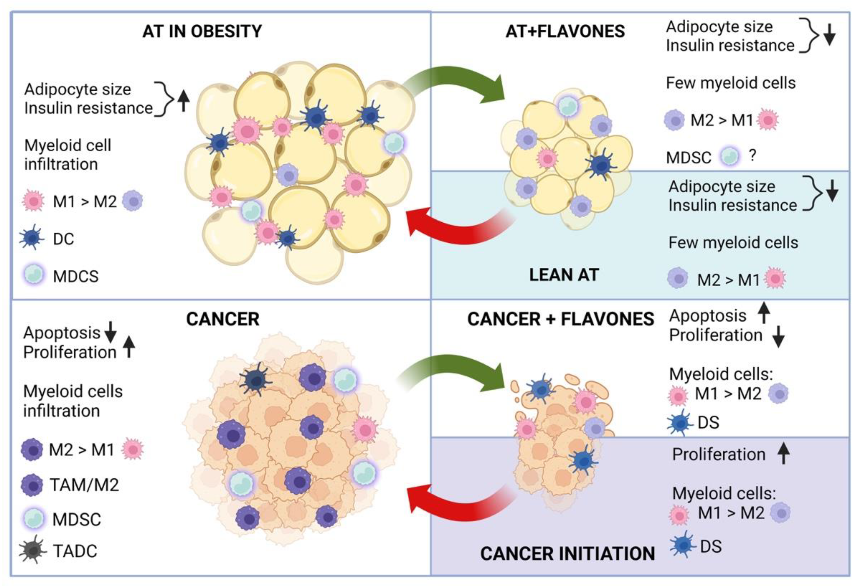 Ijms 23 15753 g004 Ijms 23 15753 g004