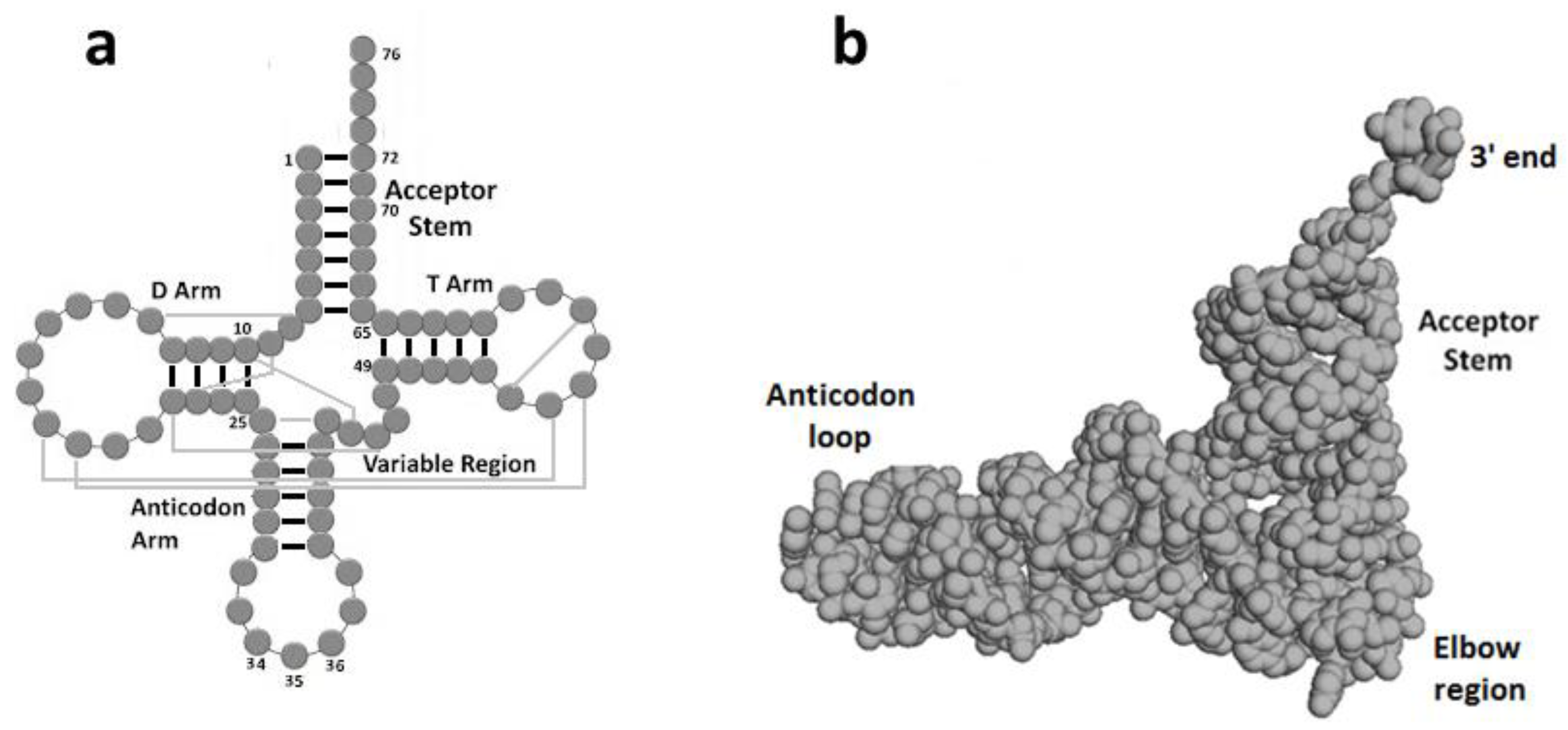 Ijms 23 15756 g001 Ijms 23 15756 g001