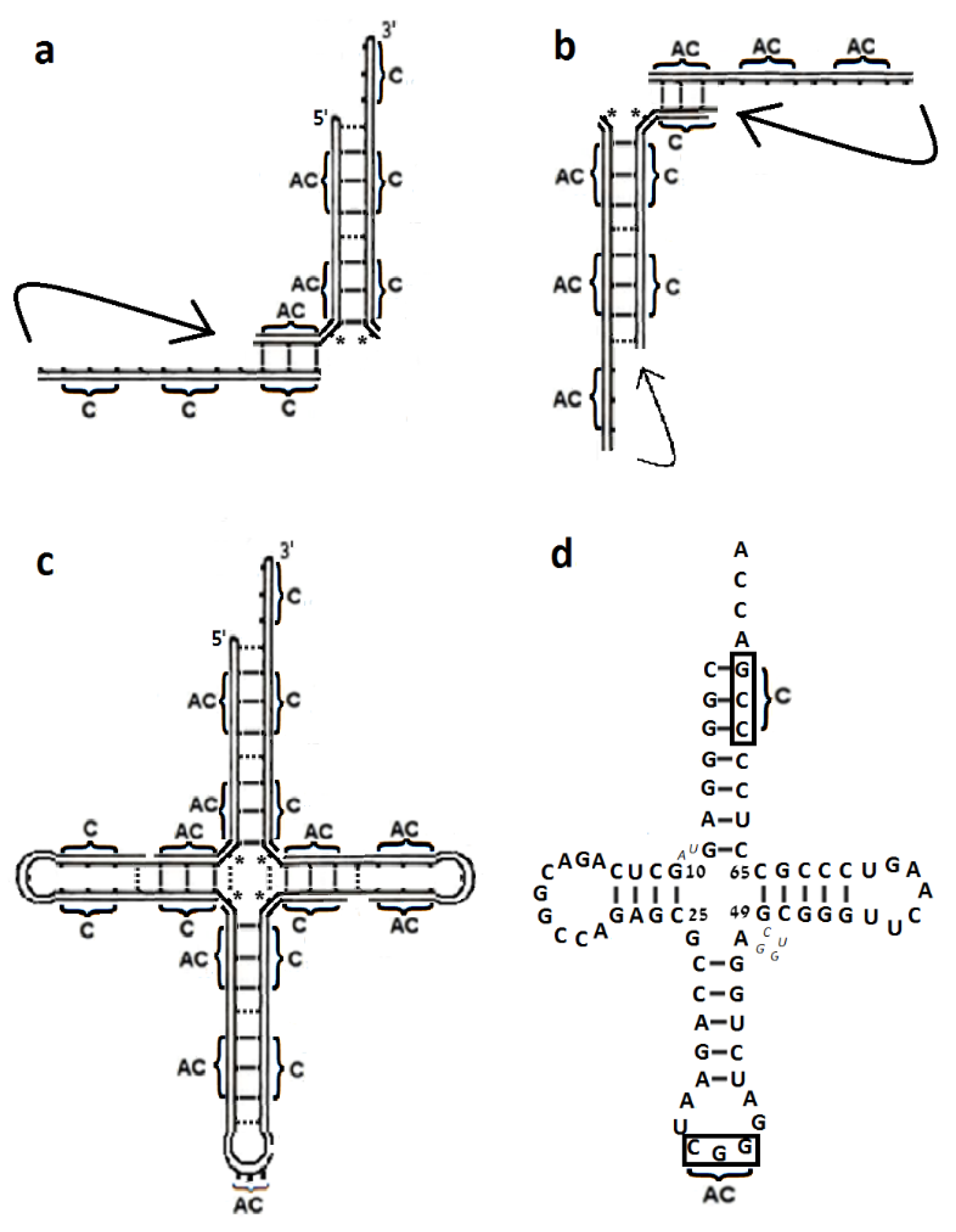 Ijms 23 15756 g005 Ijms 23 15756 g005