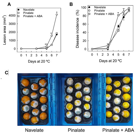 https://www.mdpi.com/ijms/ijms-23-15796/article_deploy/html/images/ijms-23-15796-g001-550.jpg