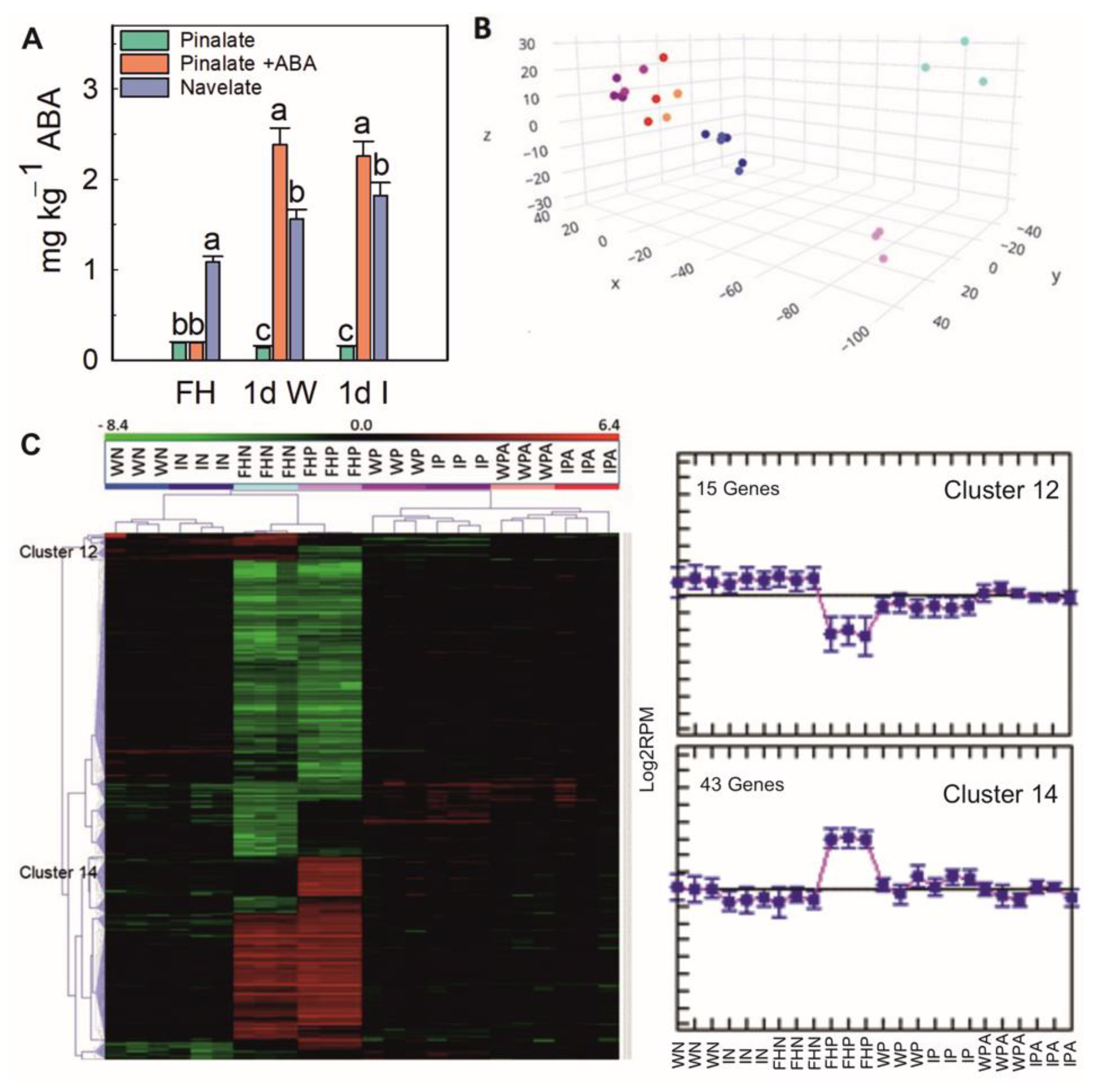 Ijms 23 15796 g002 Ijms 23 15796 g002