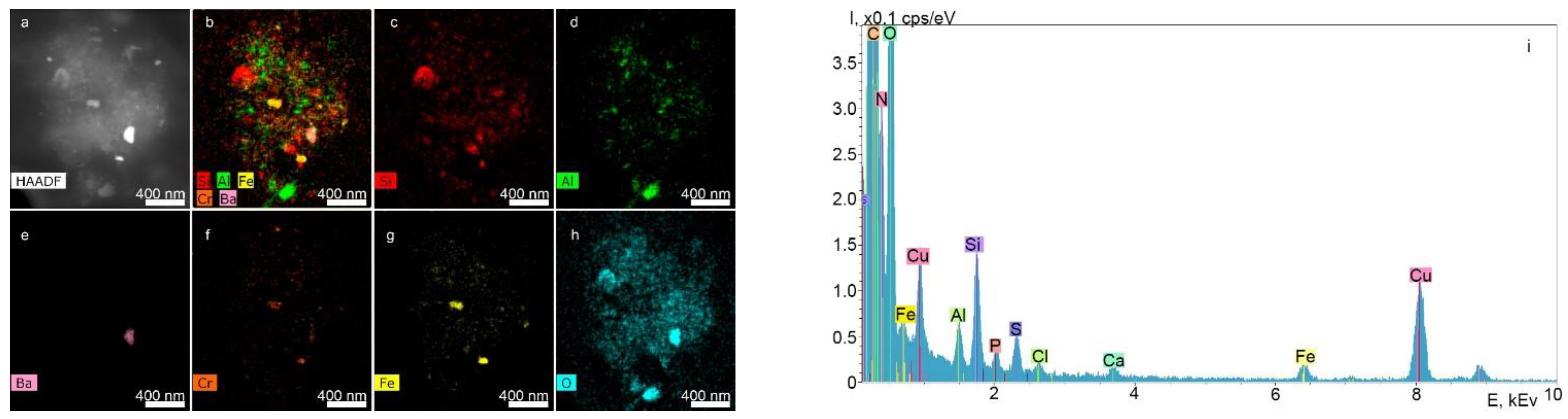 Ijms 23 15797 g005 Ijms 23 15797 g005