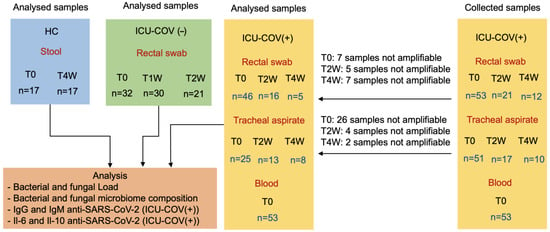 IJMS | Free Full-Text | Dysbiosis: An Indicator Of COVID-19 Severity In ...