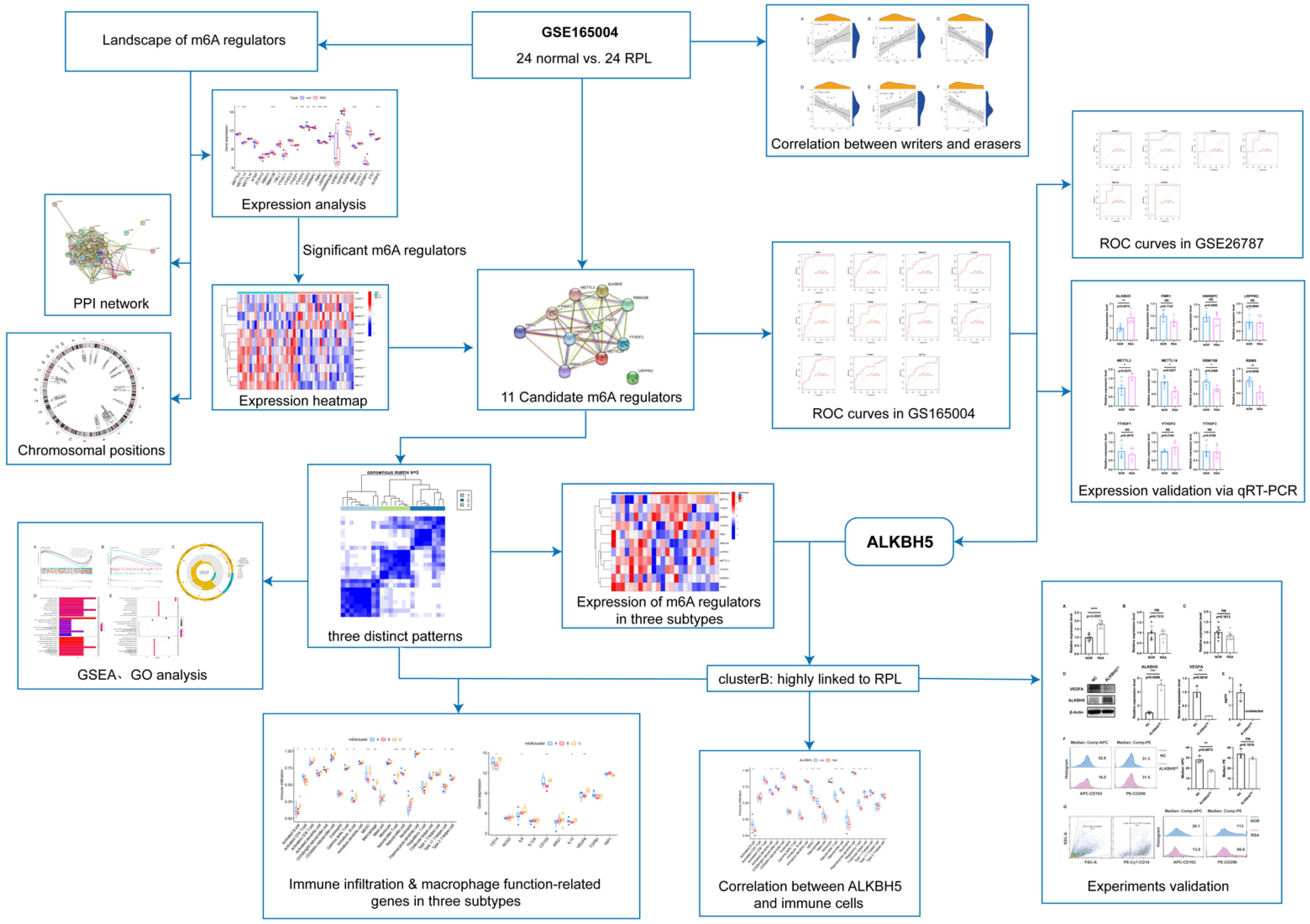 Ijms 23 15819 g001 Ijms 23 15819 g001