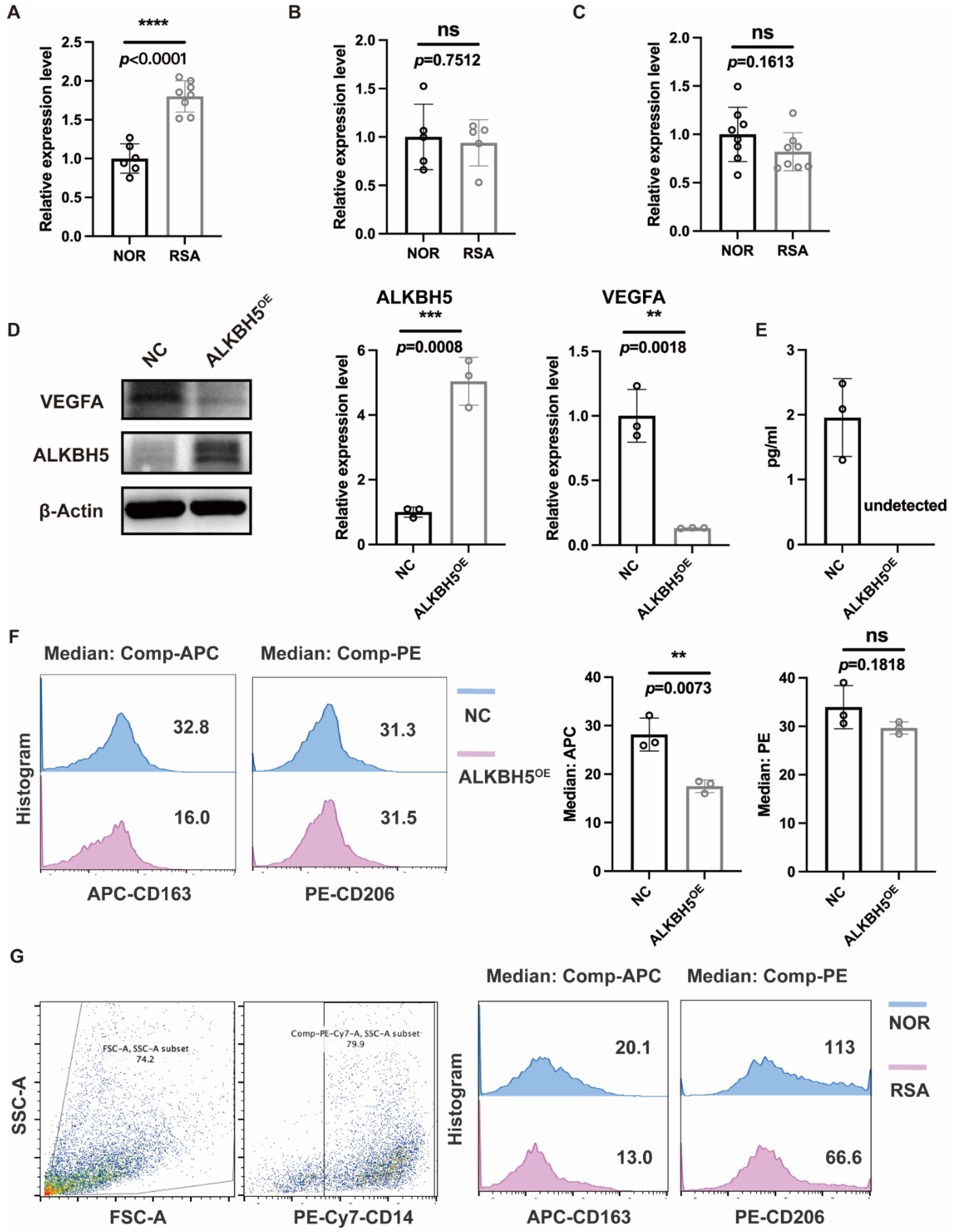 Ijms 23 15819 g009 Ijms 23 15819 g009