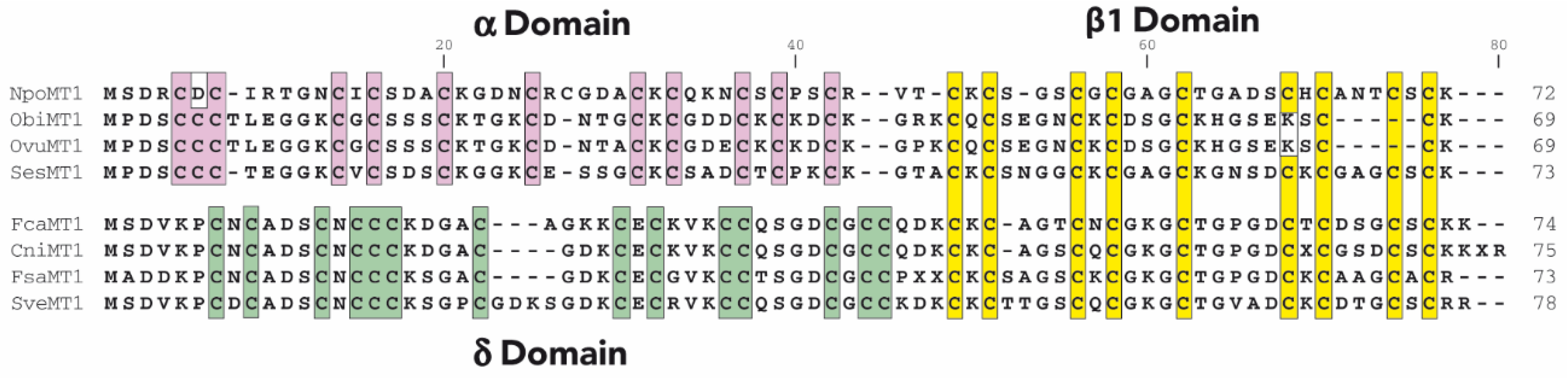 Ijms 23 15824 g001 Ijms 23 15824 g001
