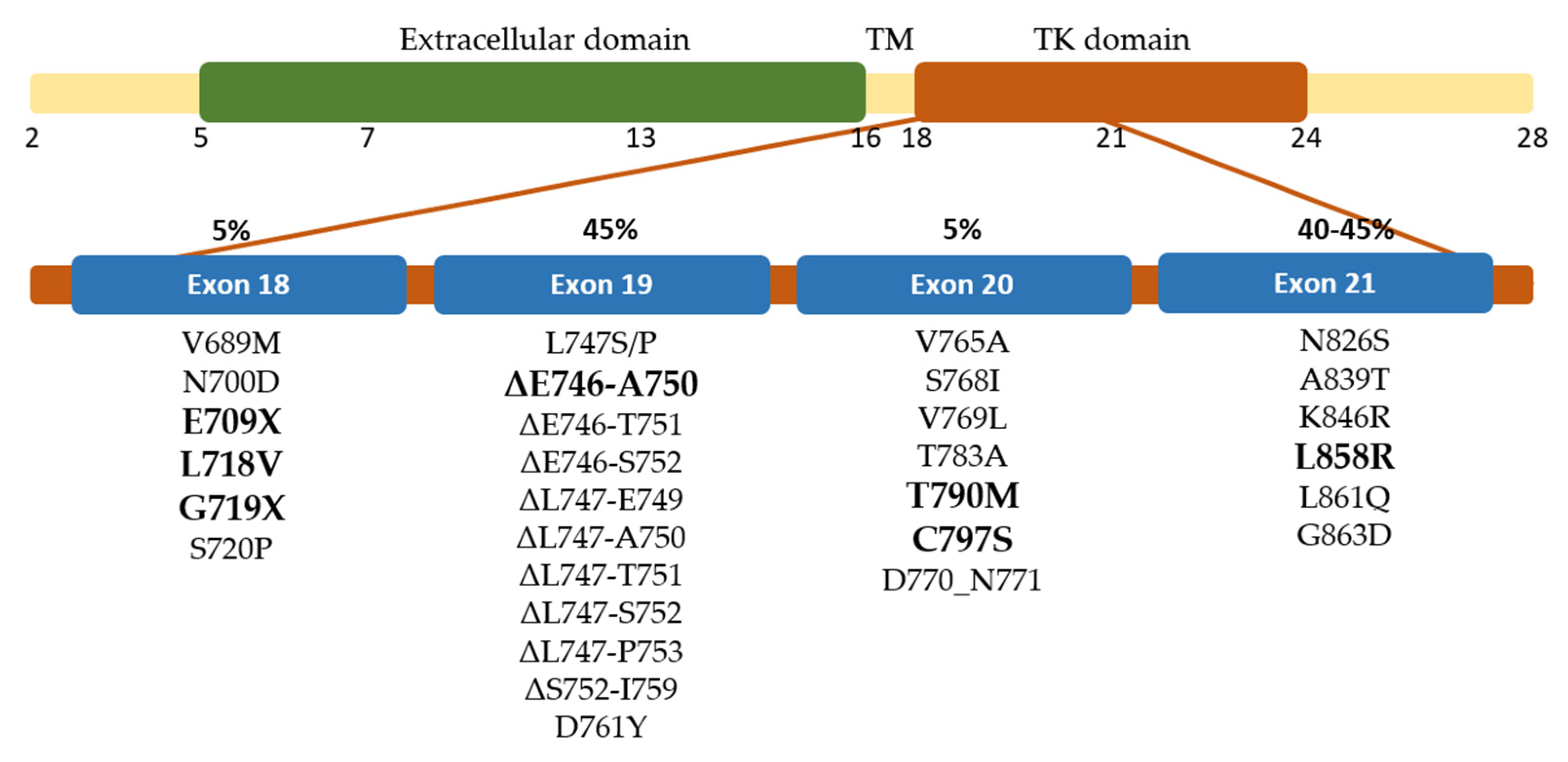 Ijms 23 15828 g001 Ijms 23 15828 g001