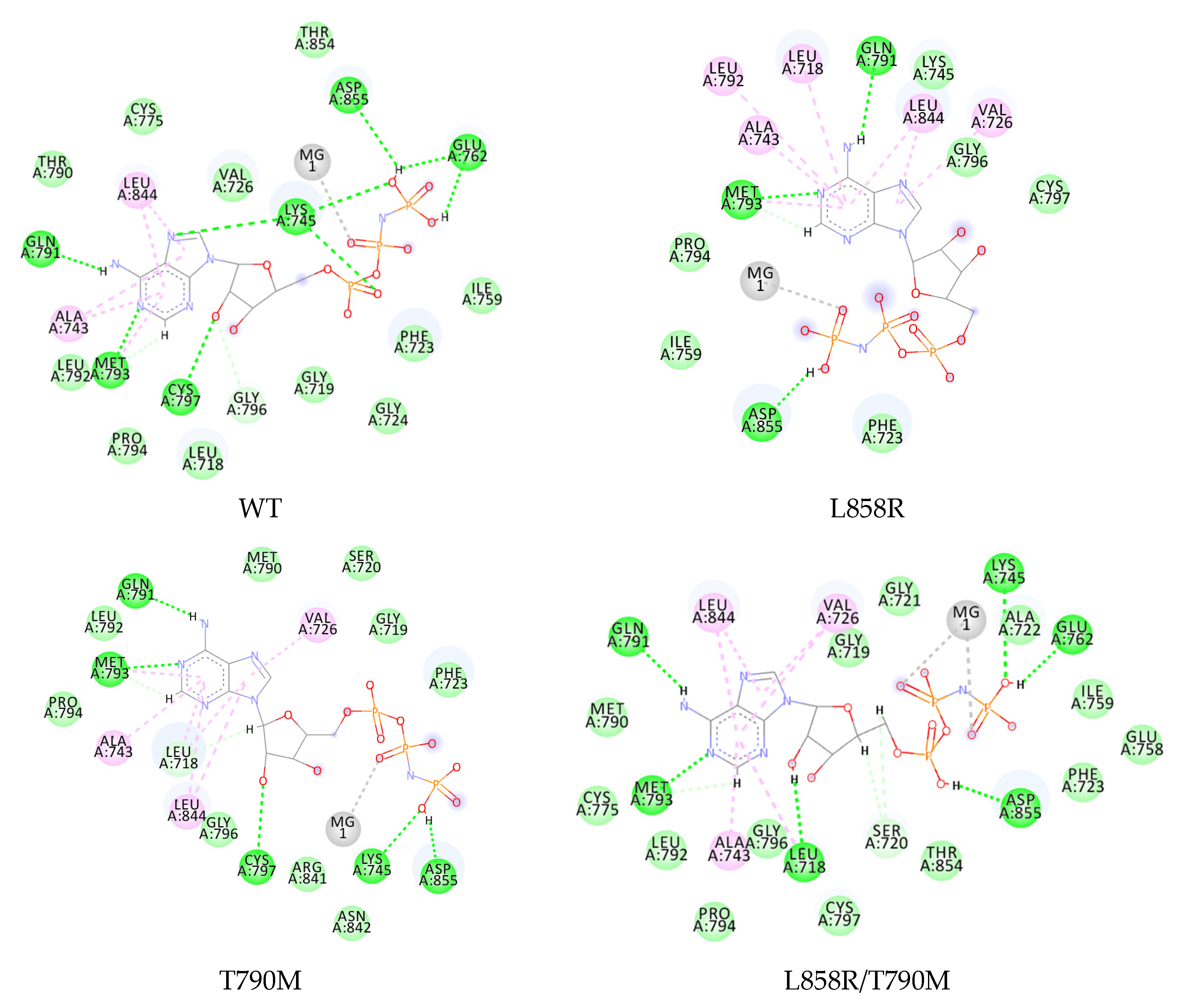 Ijms 23 15828 g002 Ijms 23 15828 g002