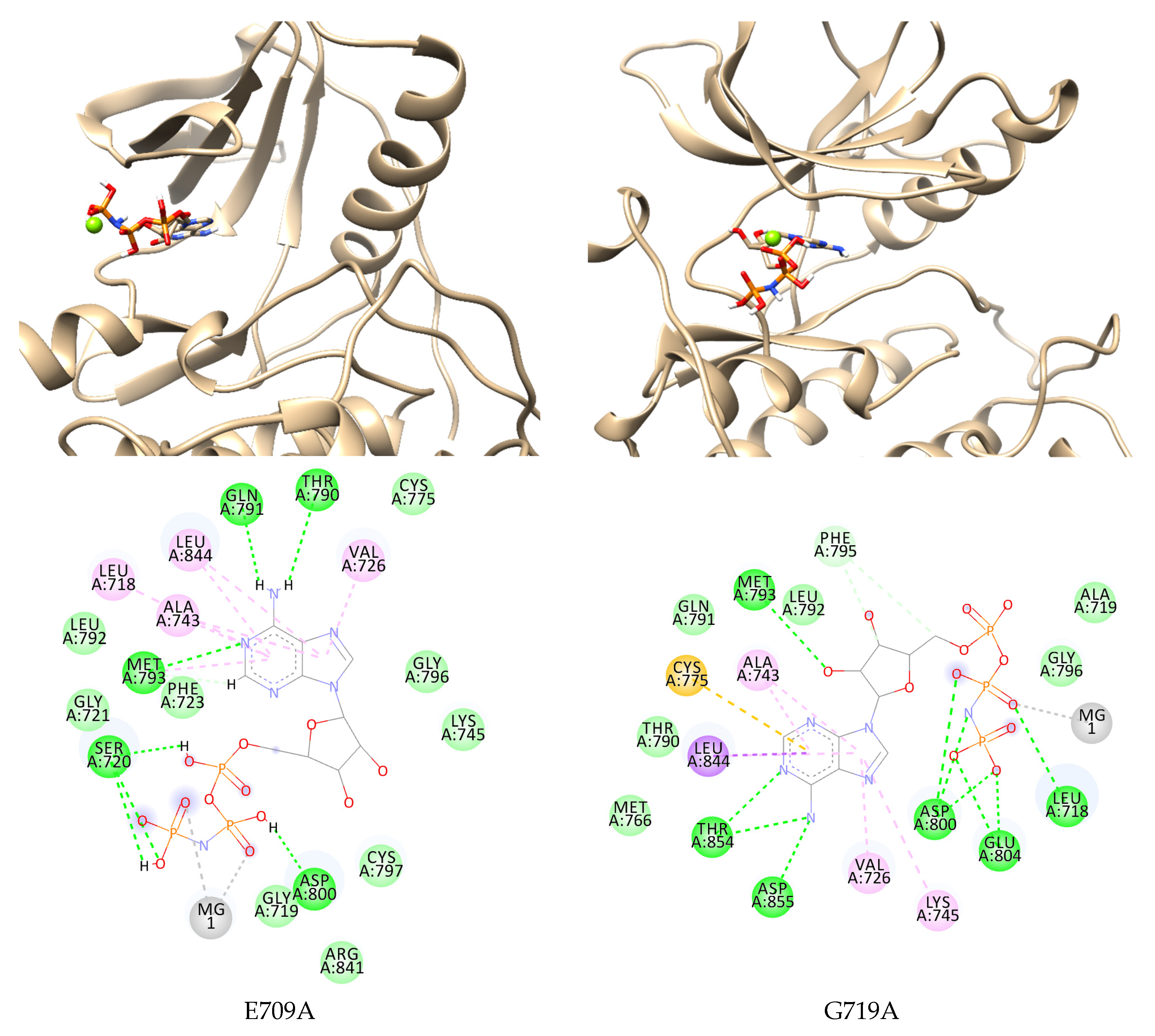 Ijms 23 15828 g003 Ijms 23 15828 g003