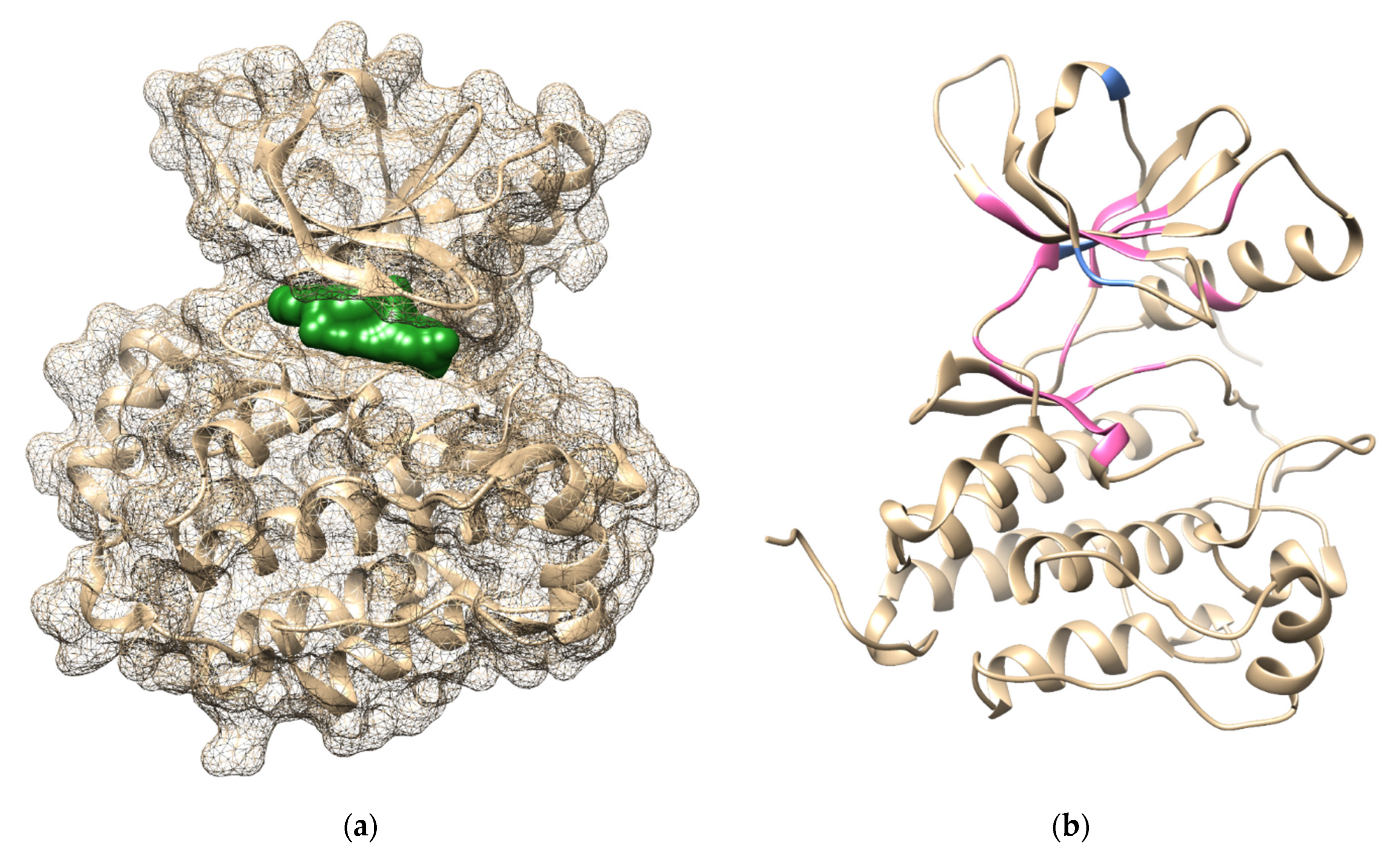 Ijms 23 15828 g004 Ijms 23 15828 g004