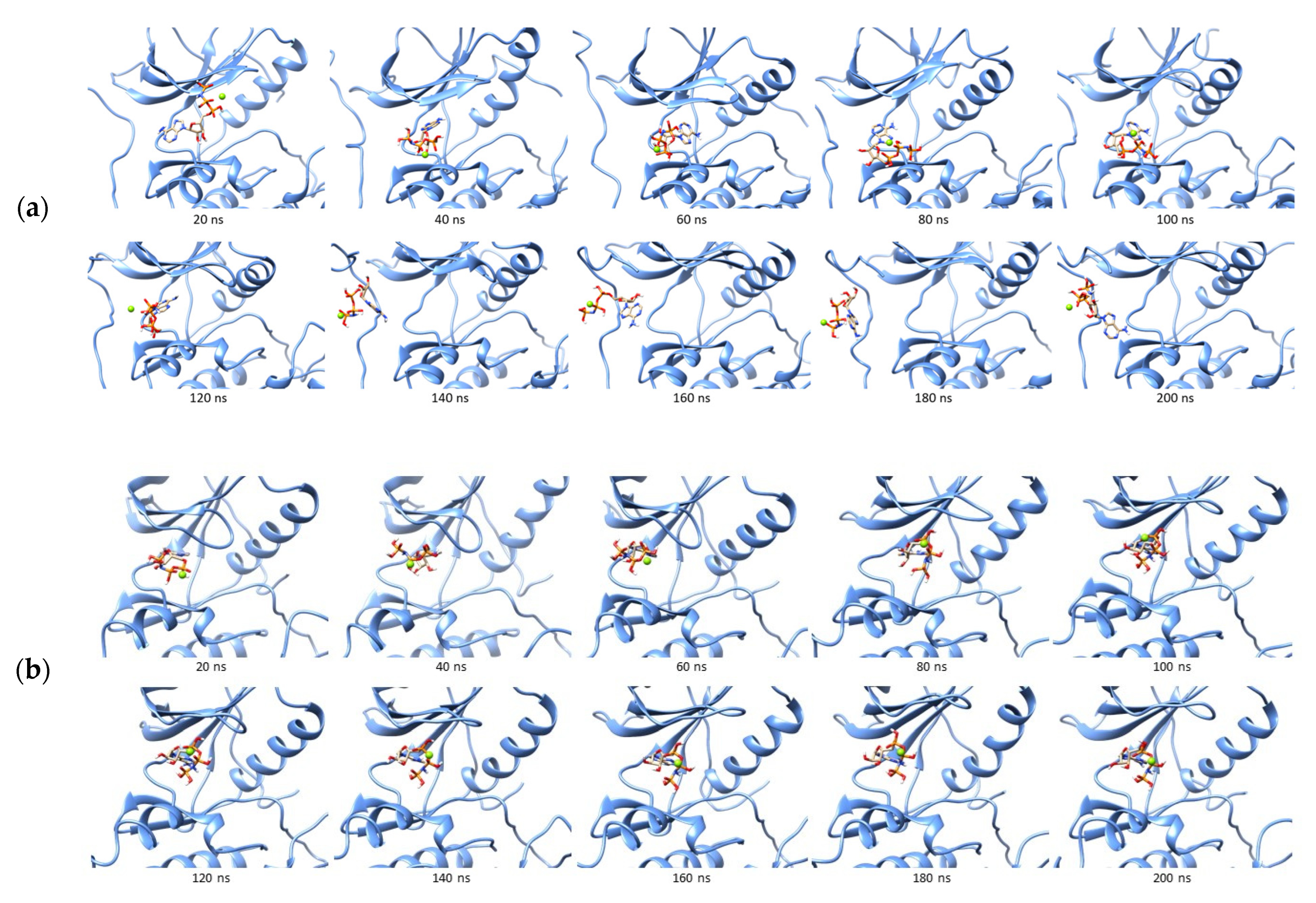 Ijms 23 15828 g005a Ijms 23 15828 g005a