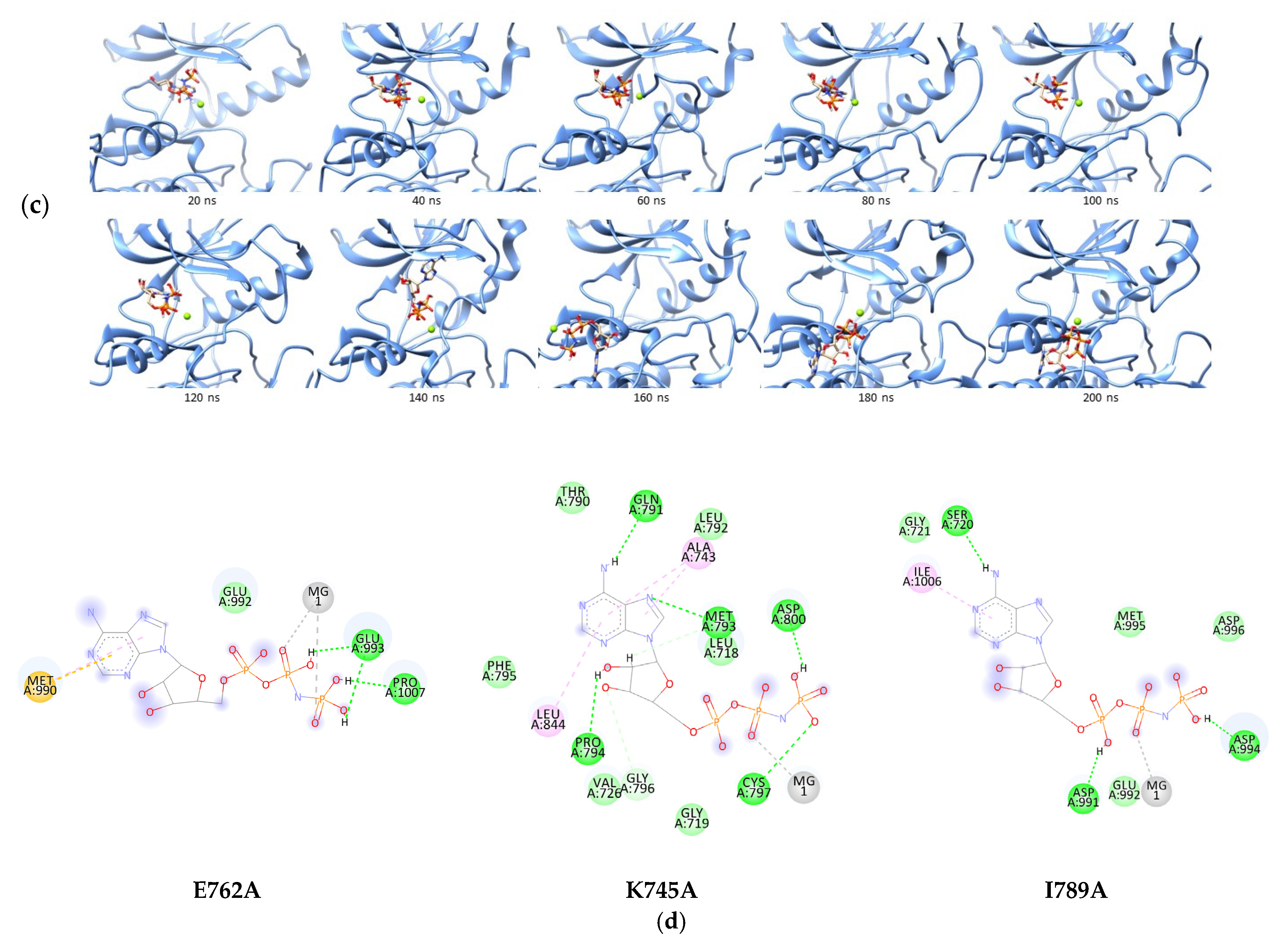 Ijms 23 15828 g005b Ijms 23 15828 g005b