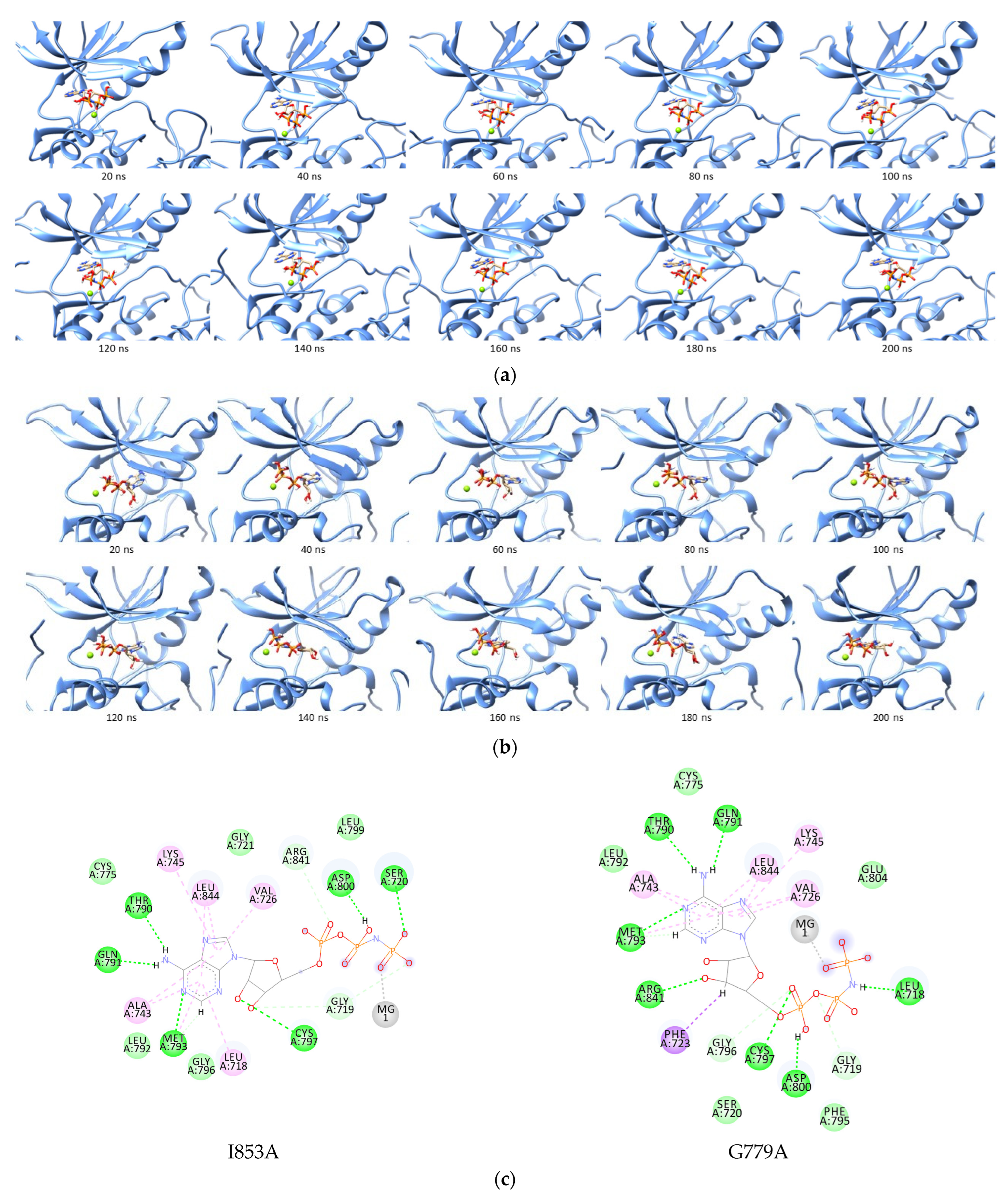 Ijms 23 15828 g006 Ijms 23 15828 g006