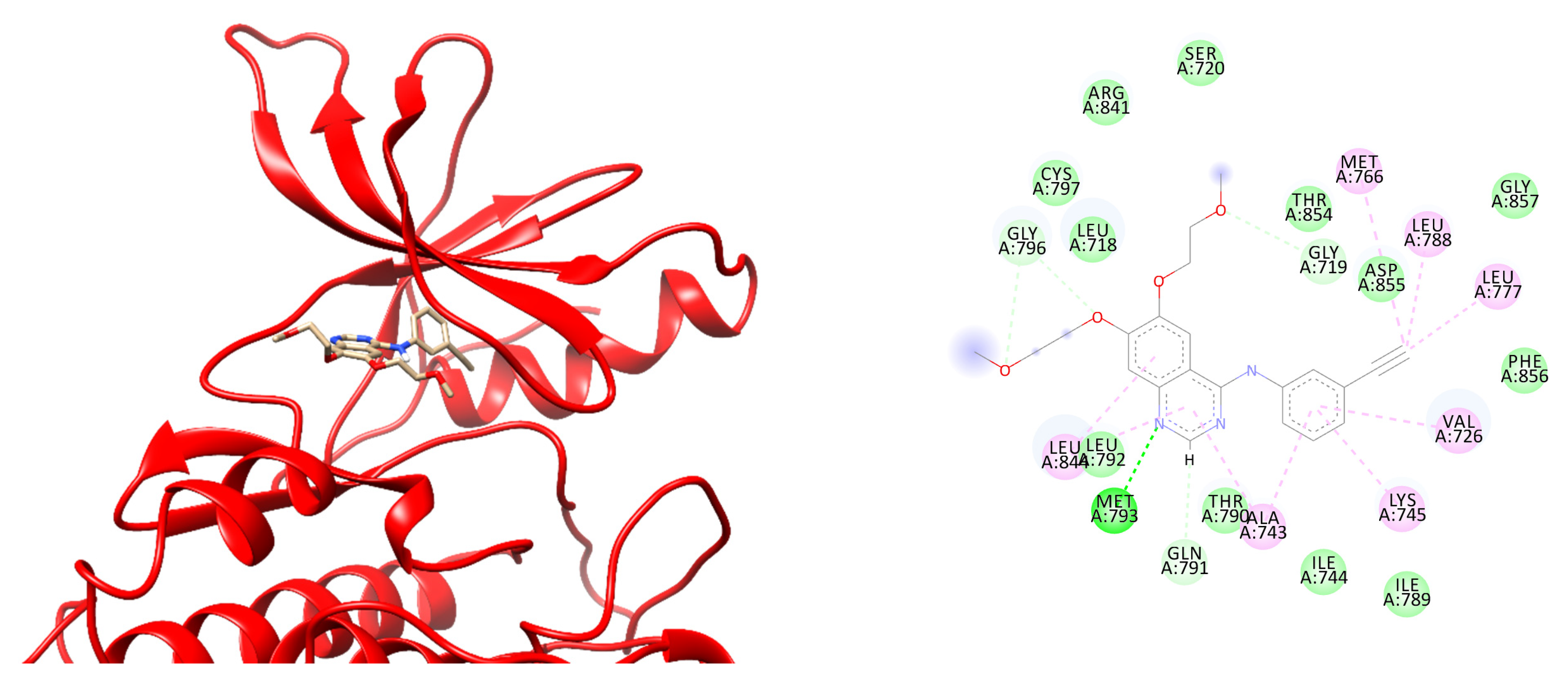 Ijms 23 15828 g007 Ijms 23 15828 g007