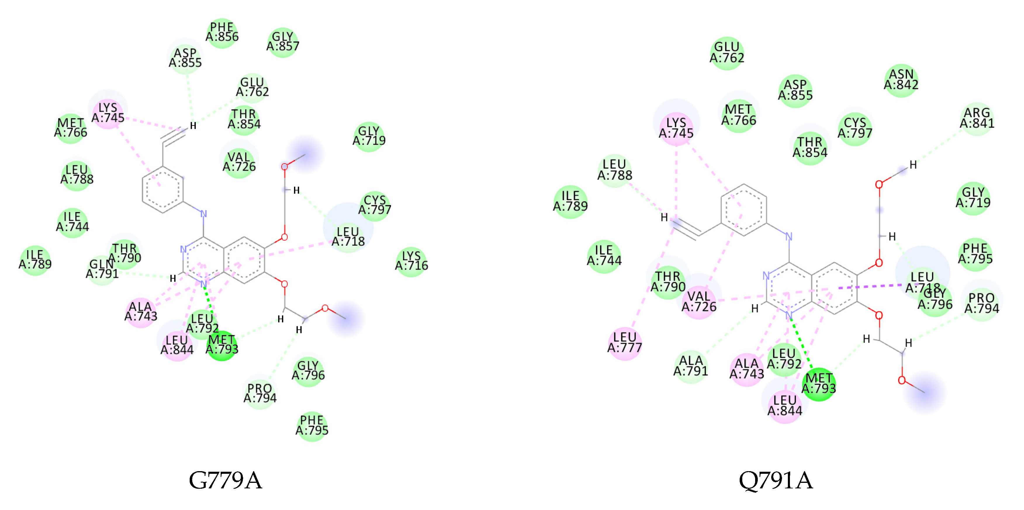 Ijms 23 15828 g008a Ijms 23 15828 g008a