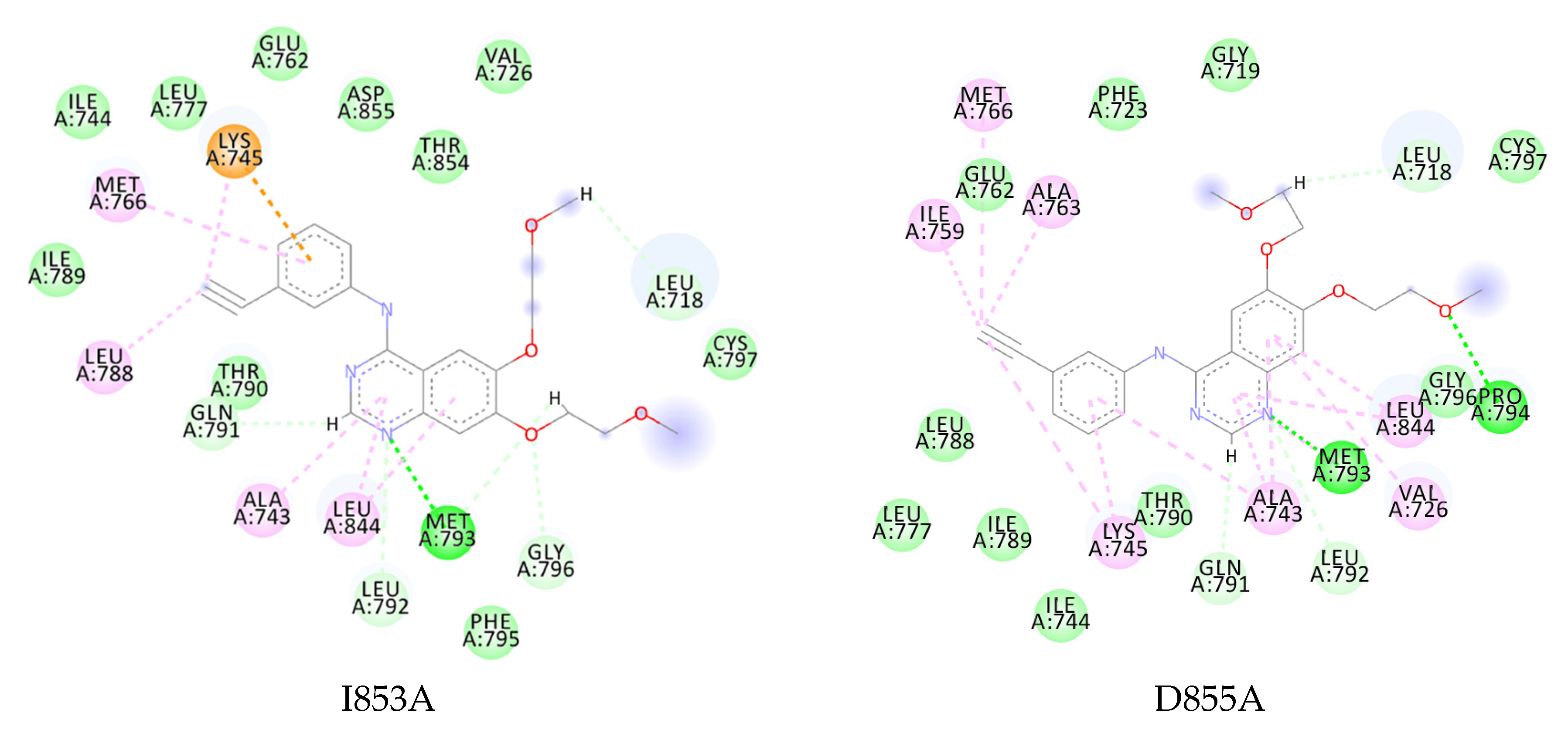 Ijms 23 15828 g008b Ijms 23 15828 g008b