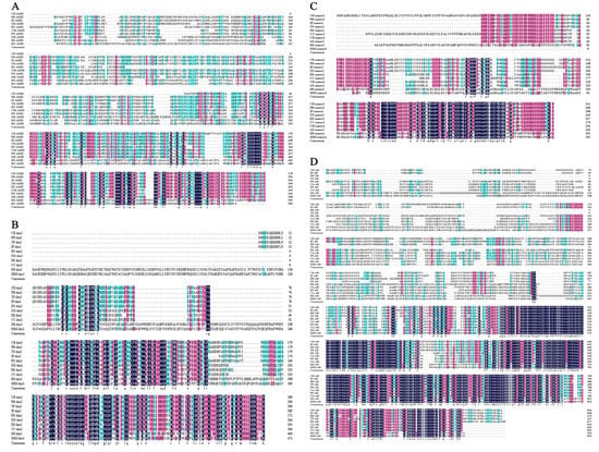 Ijms Free Full Text Gonadal Transcriptome Analysis And Sequence Characterization Of Sex