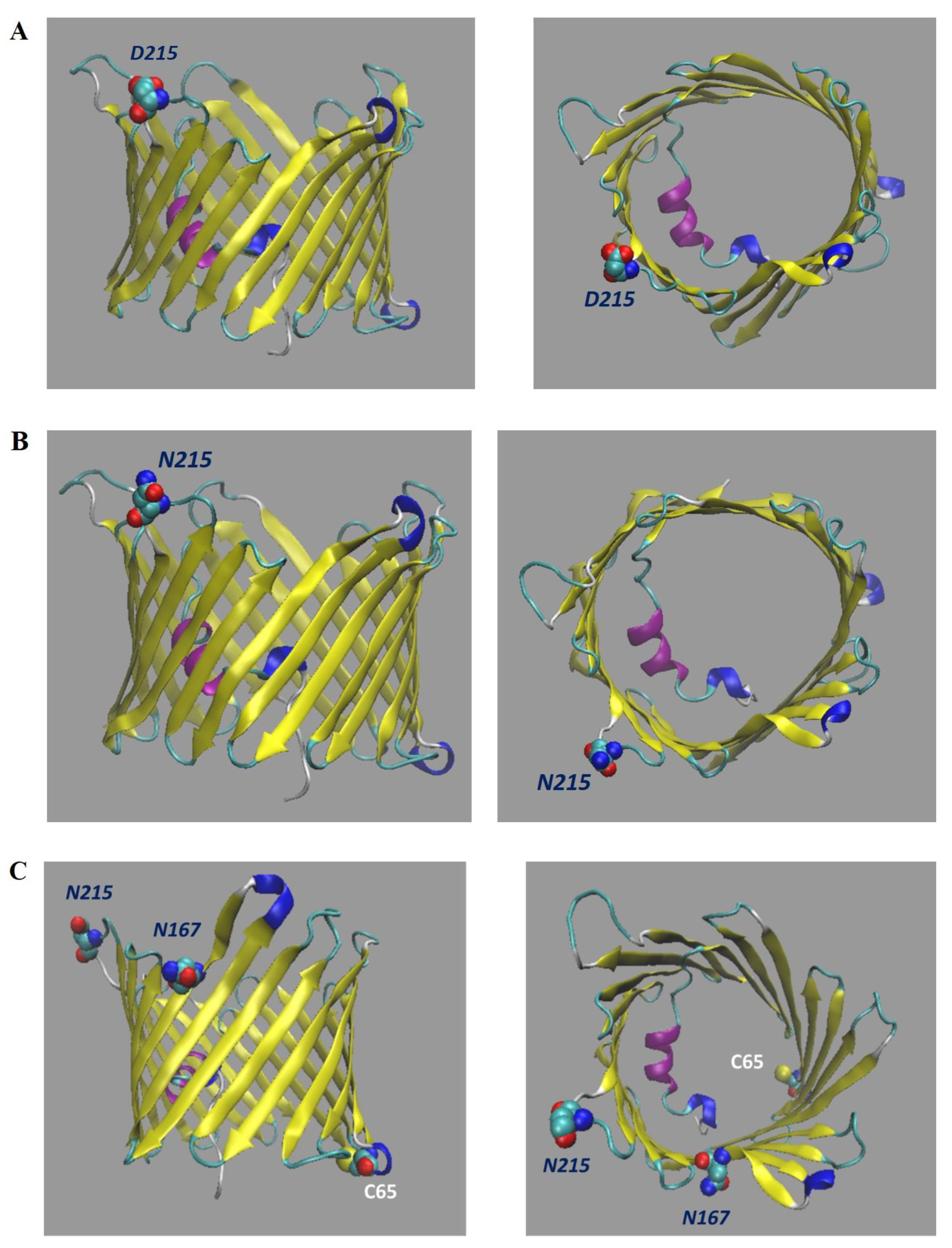 Ijms 23 15853 g004 Ijms 23 15853 g004