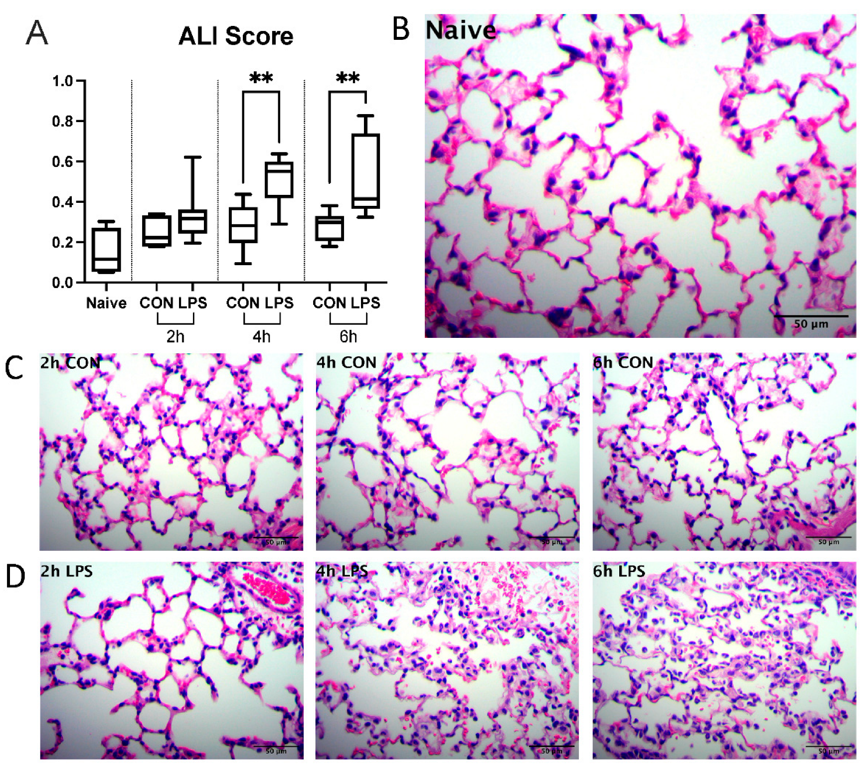 Ijms 23 15857 g001 Ijms 23 15857 g001
