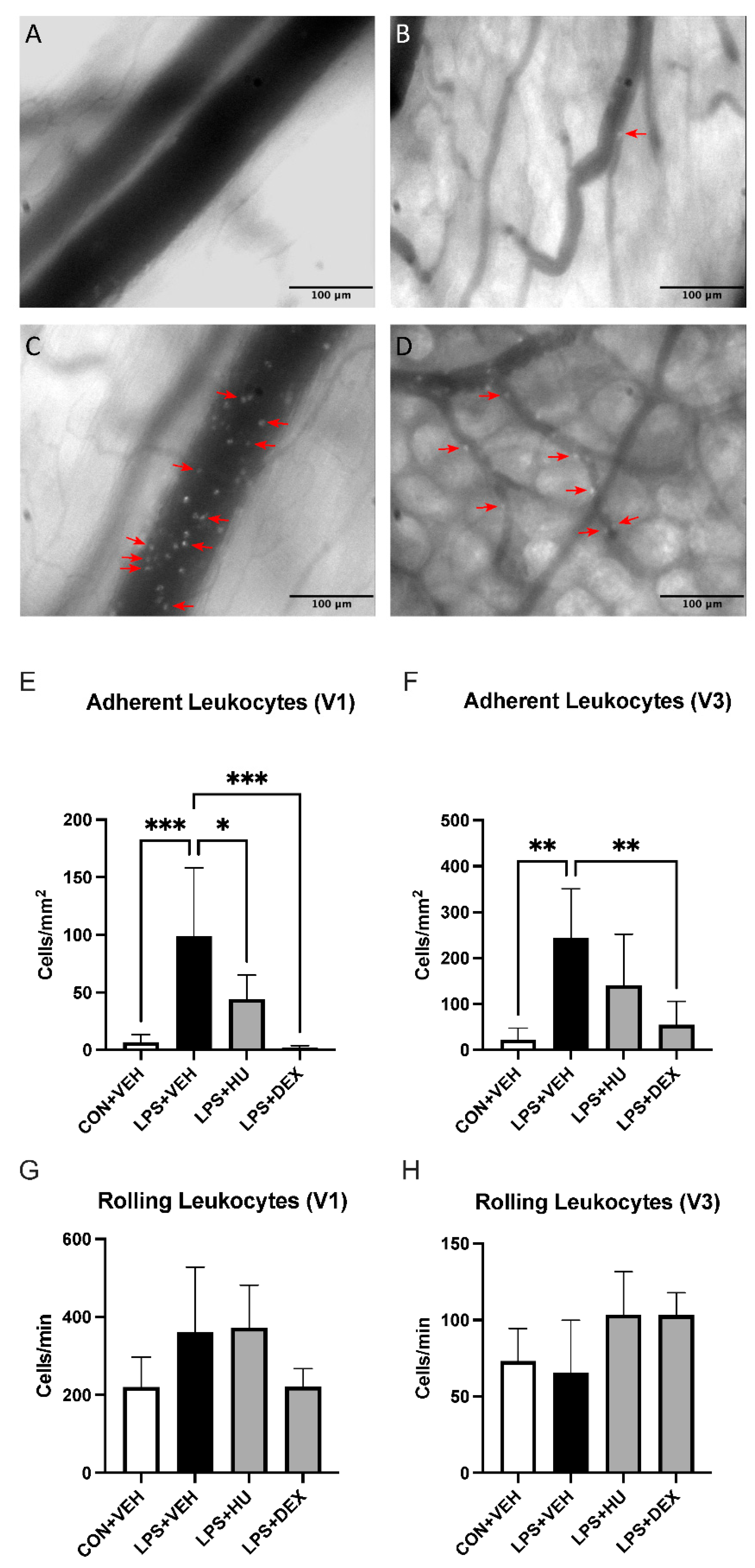 Ijms 23 15857 g004 Ijms 23 15857 g004