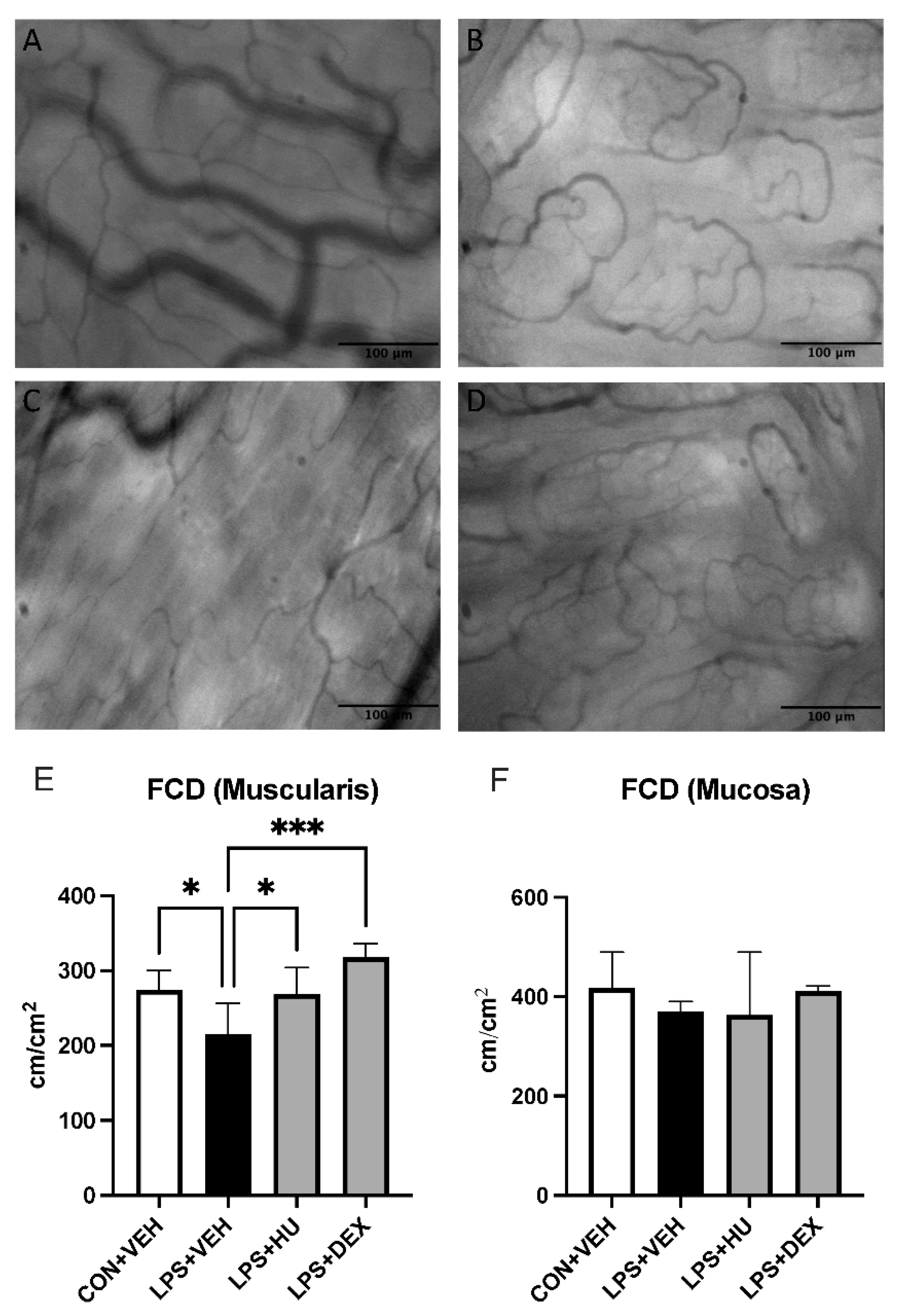 Ijms 23 15857 g005 Ijms 23 15857 g005