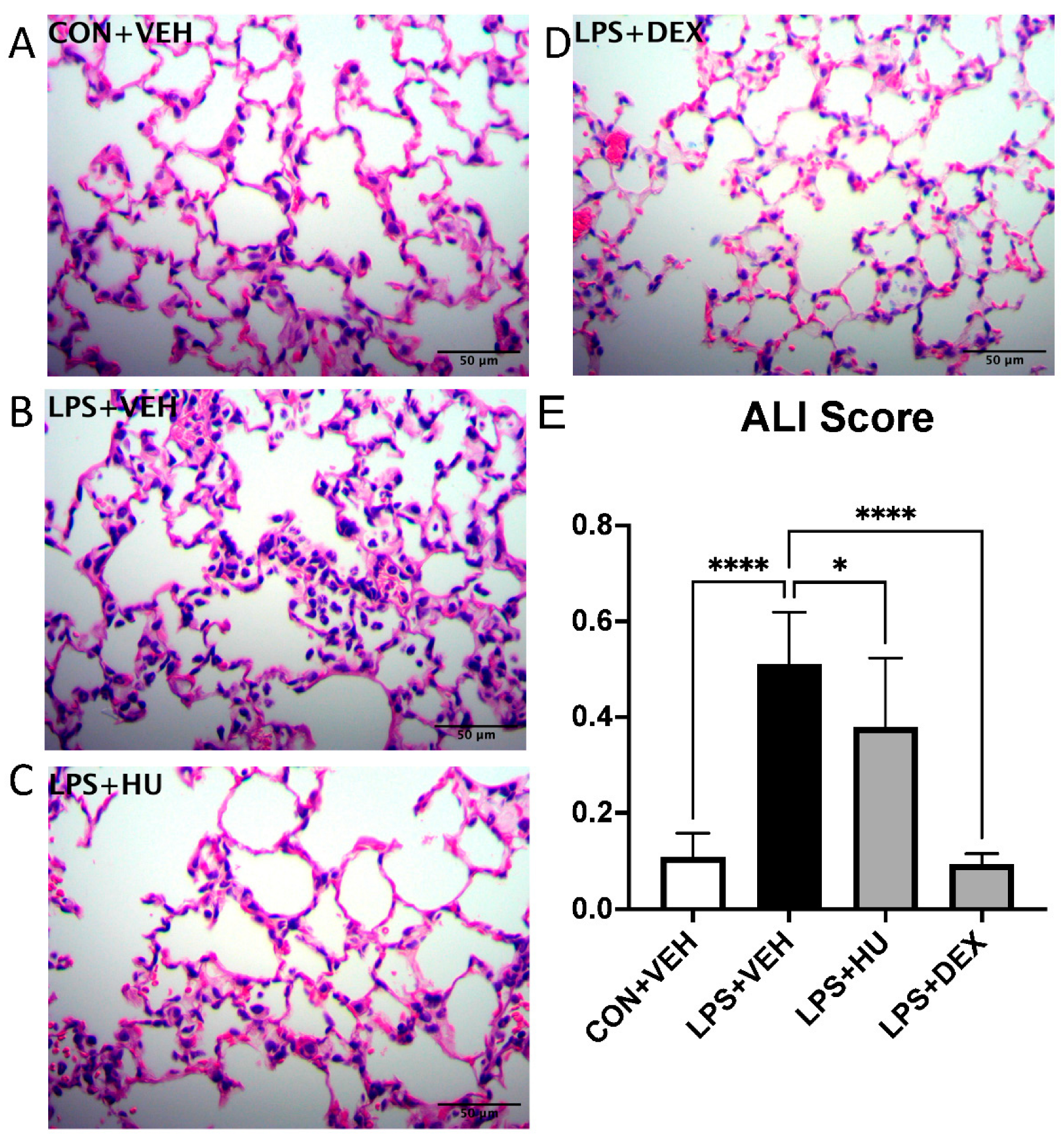 Ijms 23 15857 g006 Ijms 23 15857 g006