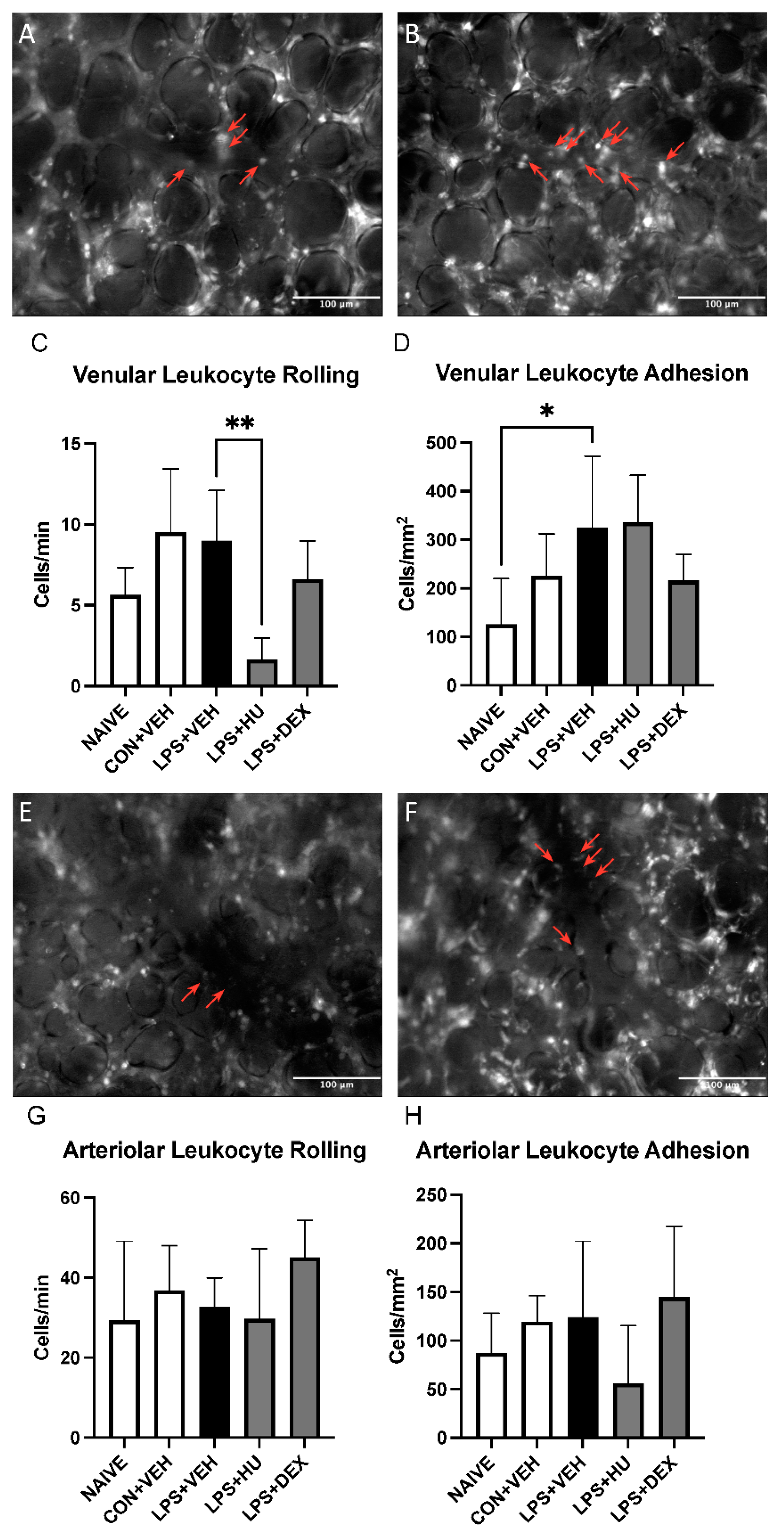 Ijms 23 15857 g007 Ijms 23 15857 g007