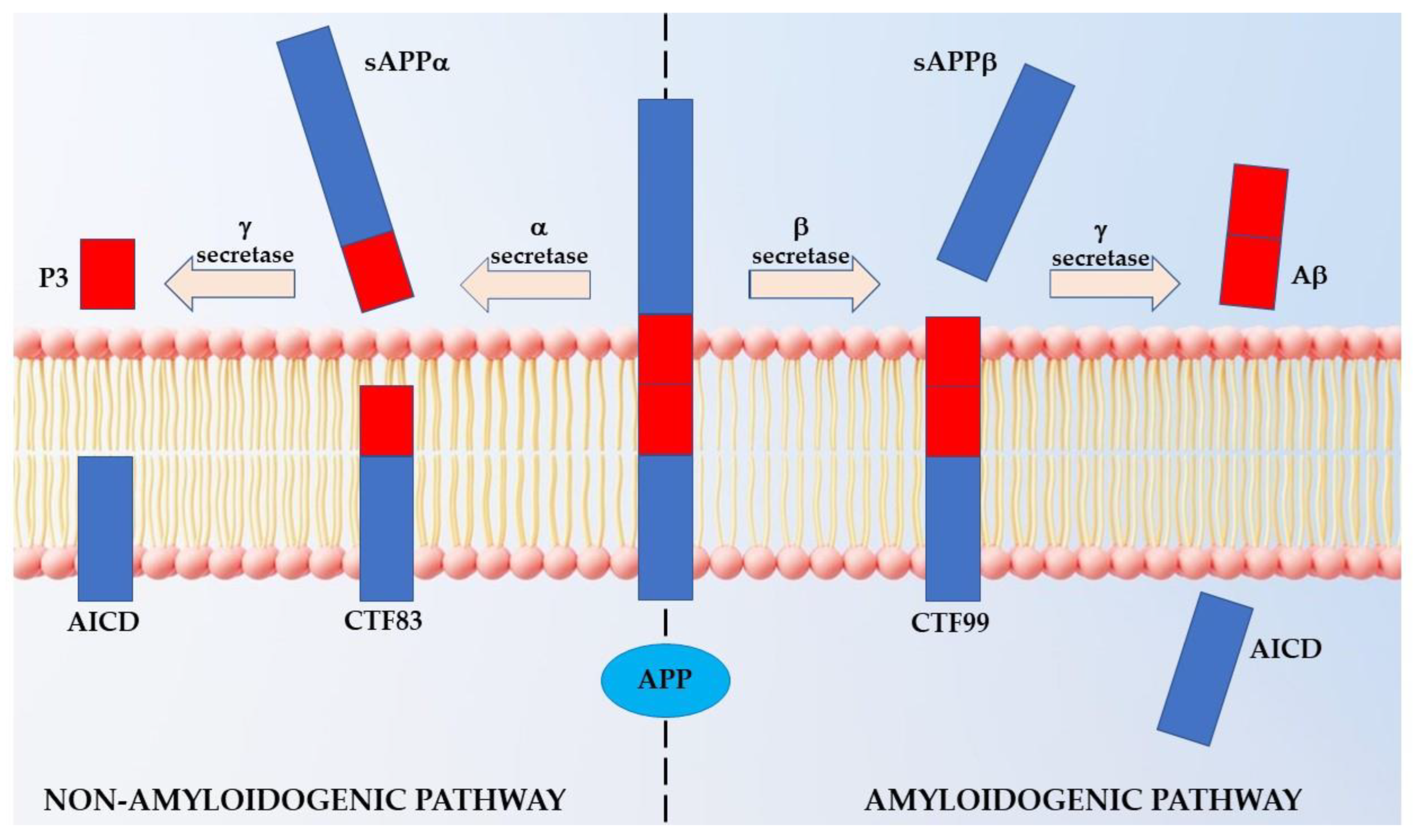 Ijms 23 15871 g001 Ijms 23 15871 g001