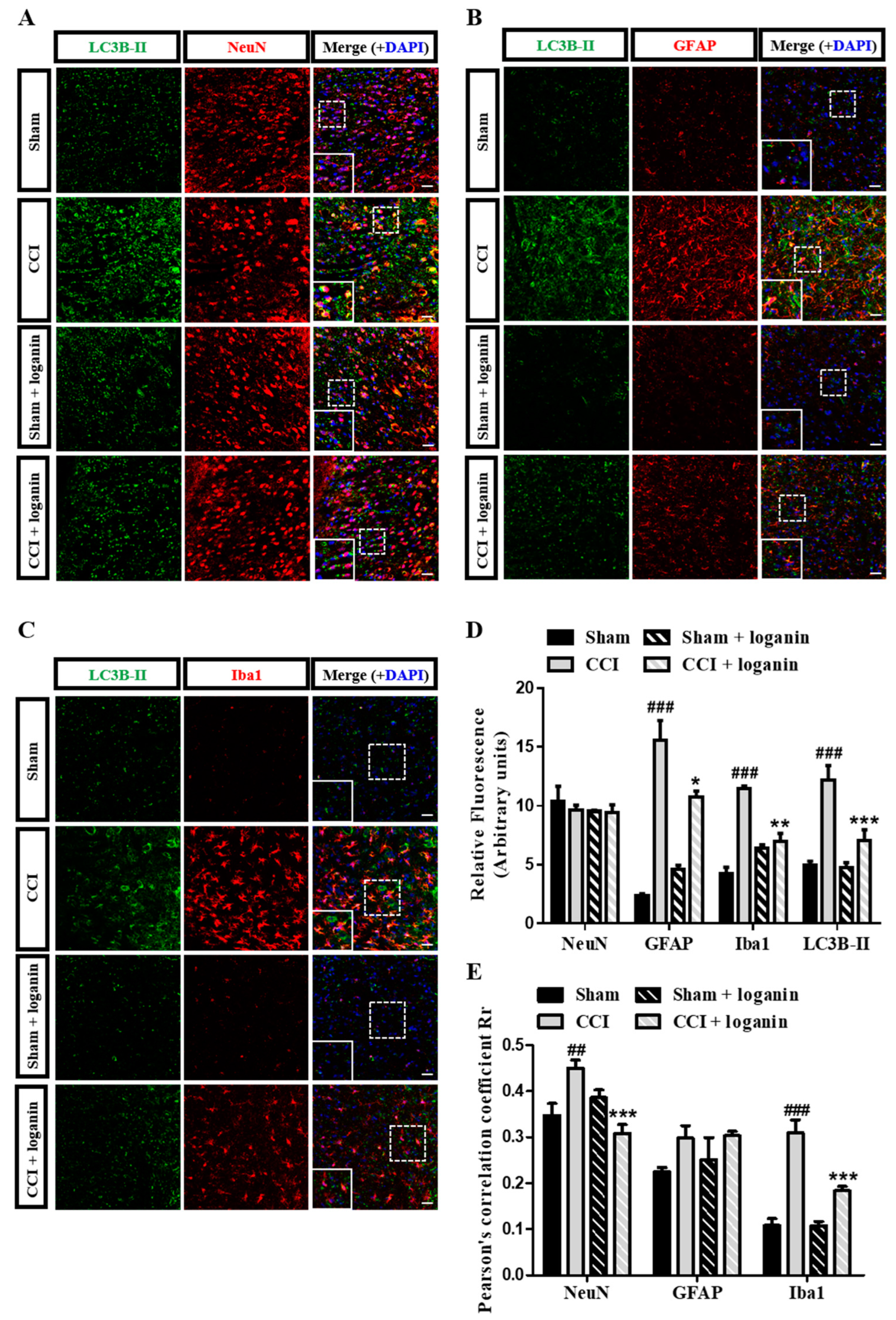 Ijms 23 15873 g002 Ijms 23 15873 g002
