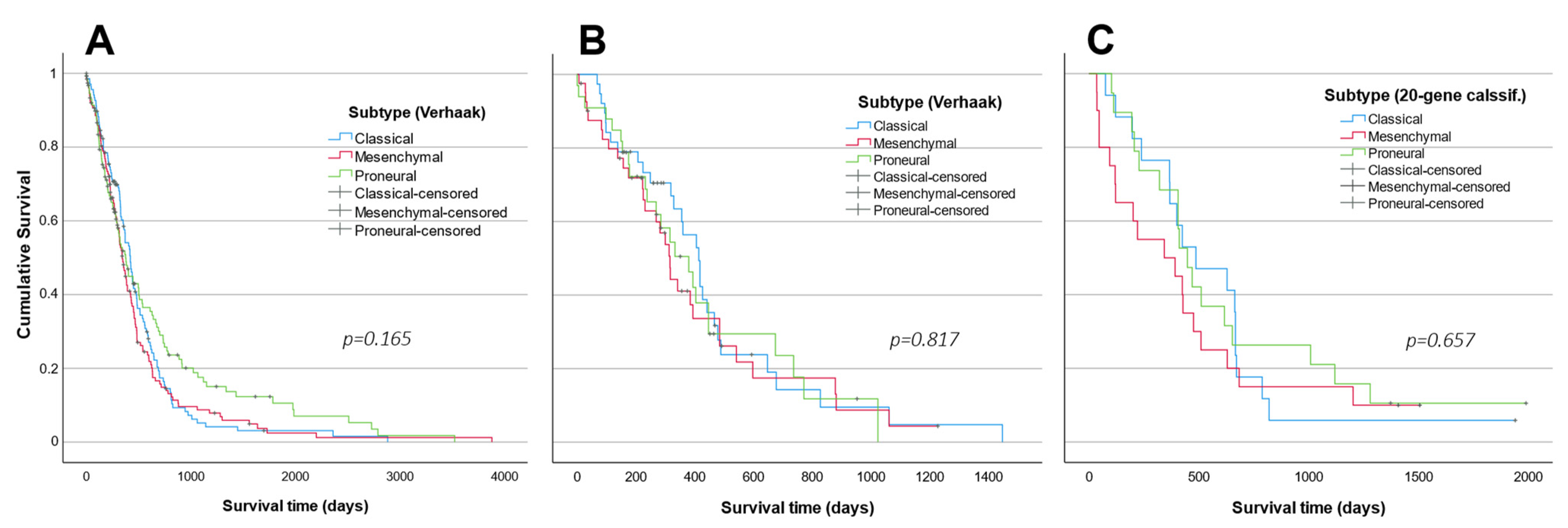 Ijms 23 15875 g007 Ijms 23 15875 g007