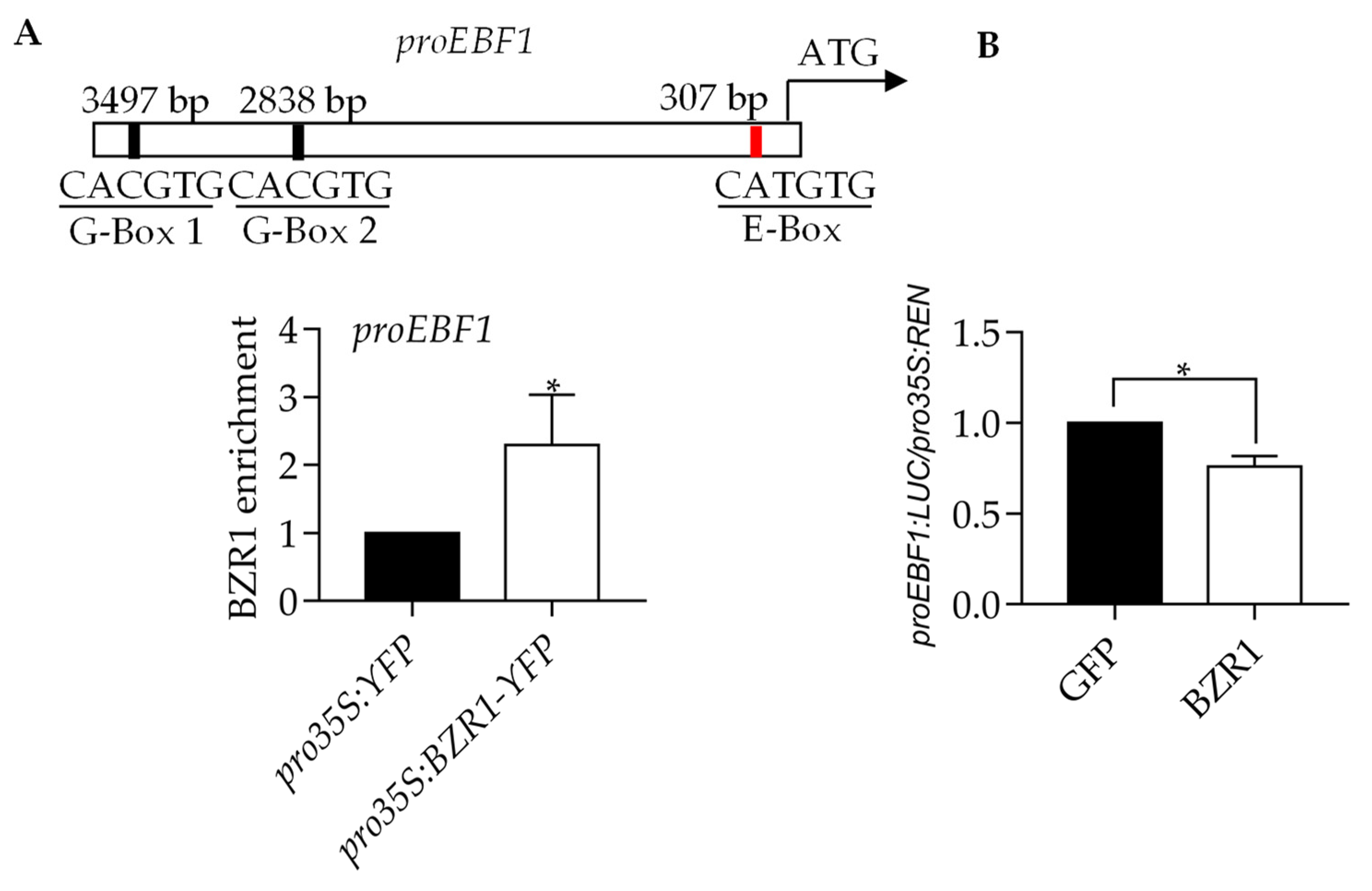 Ijms 23 15889 g005 Ijms 23 15889 g005