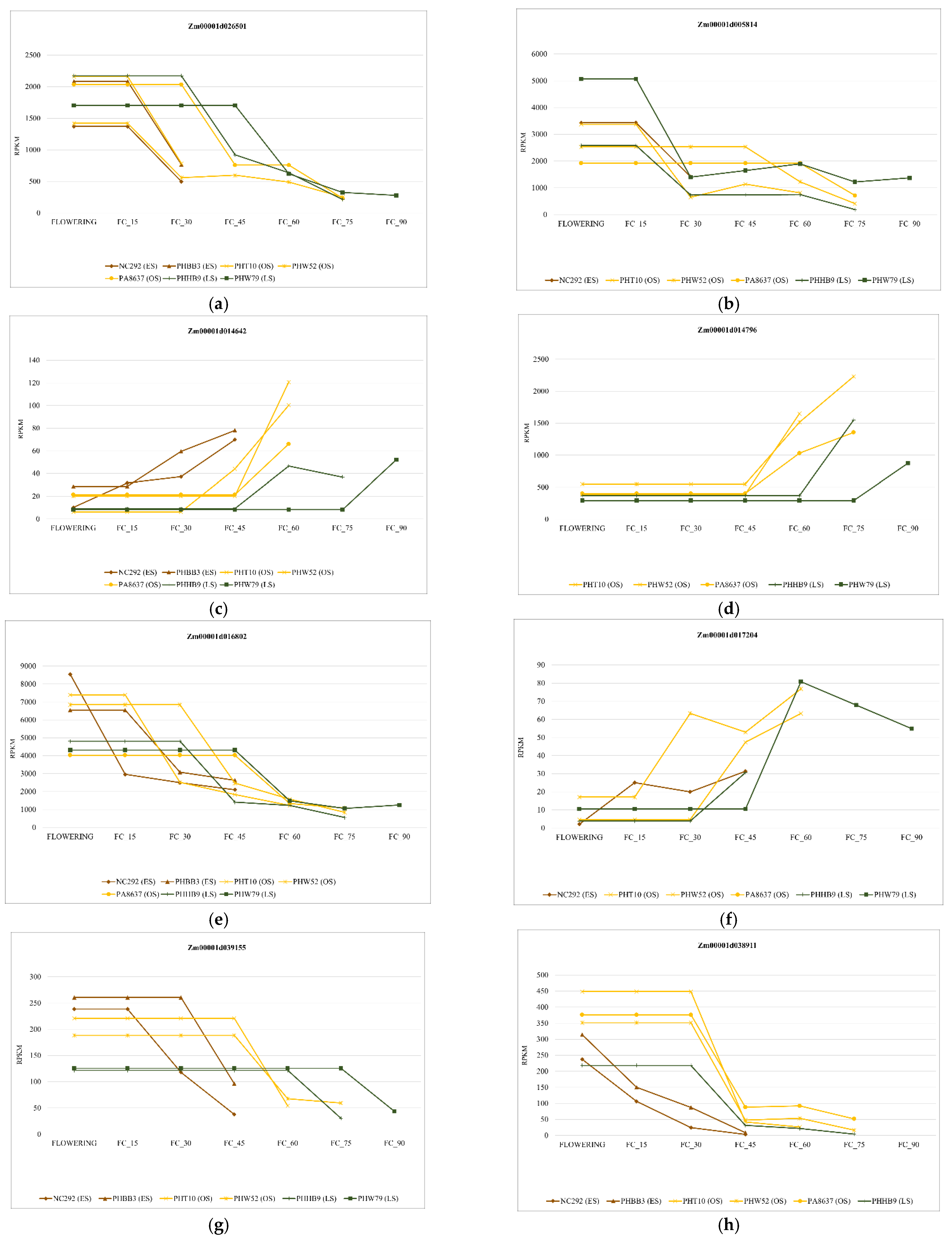 Ijms 23 15897 g005 Ijms 23 15897 g005